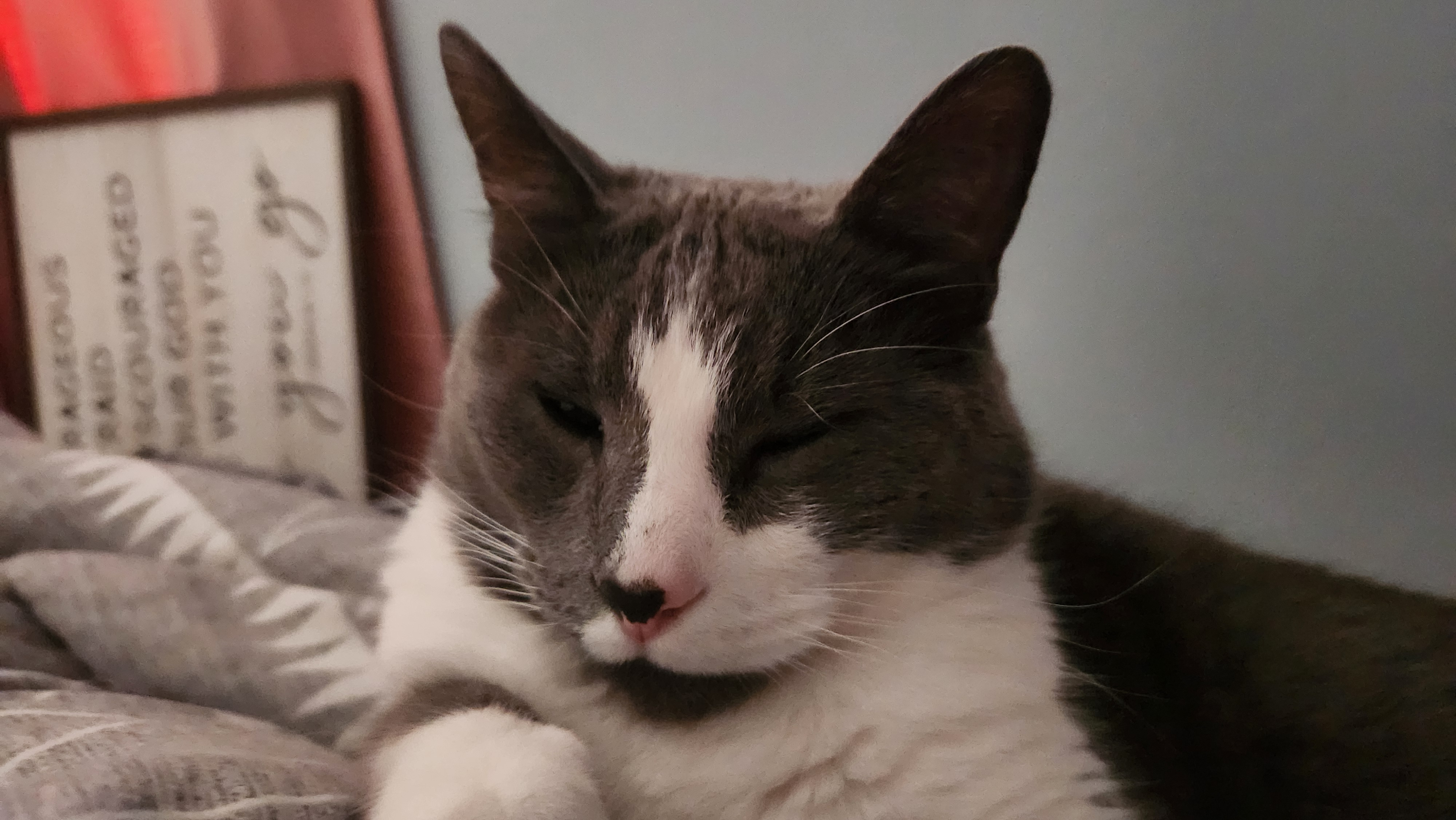 user avatar image for James