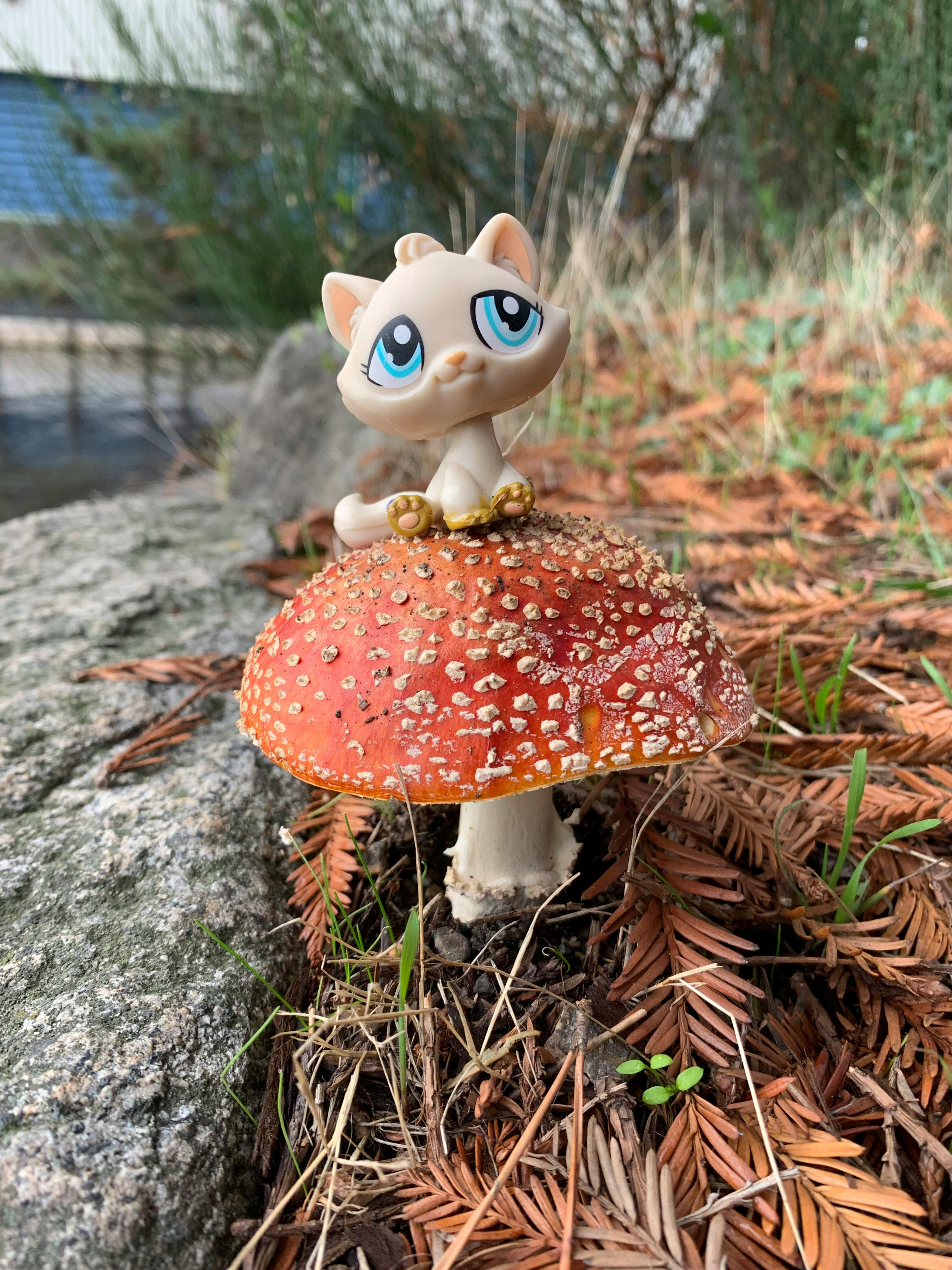 user avatar image for Fig