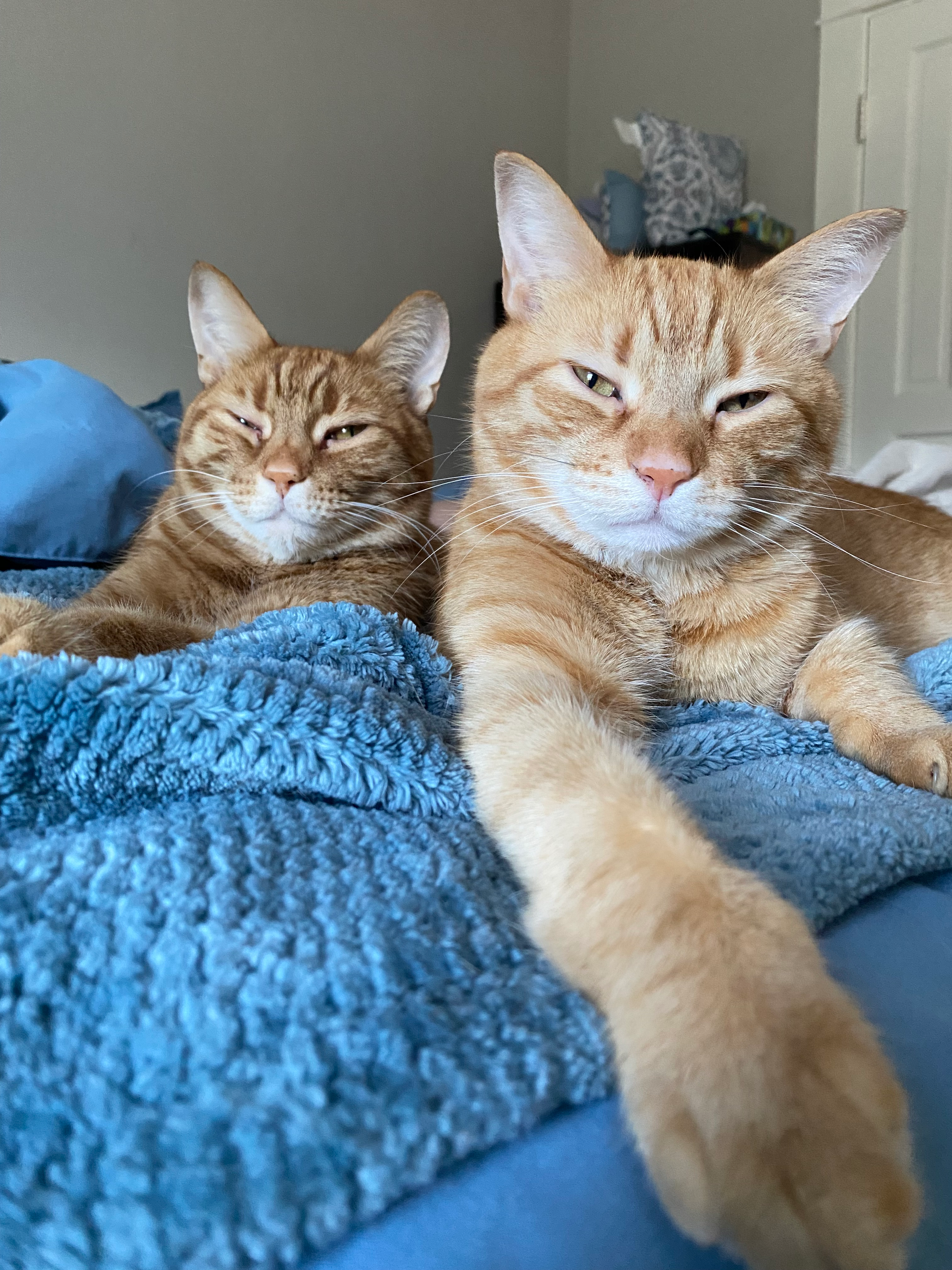 user avatar image for Preston