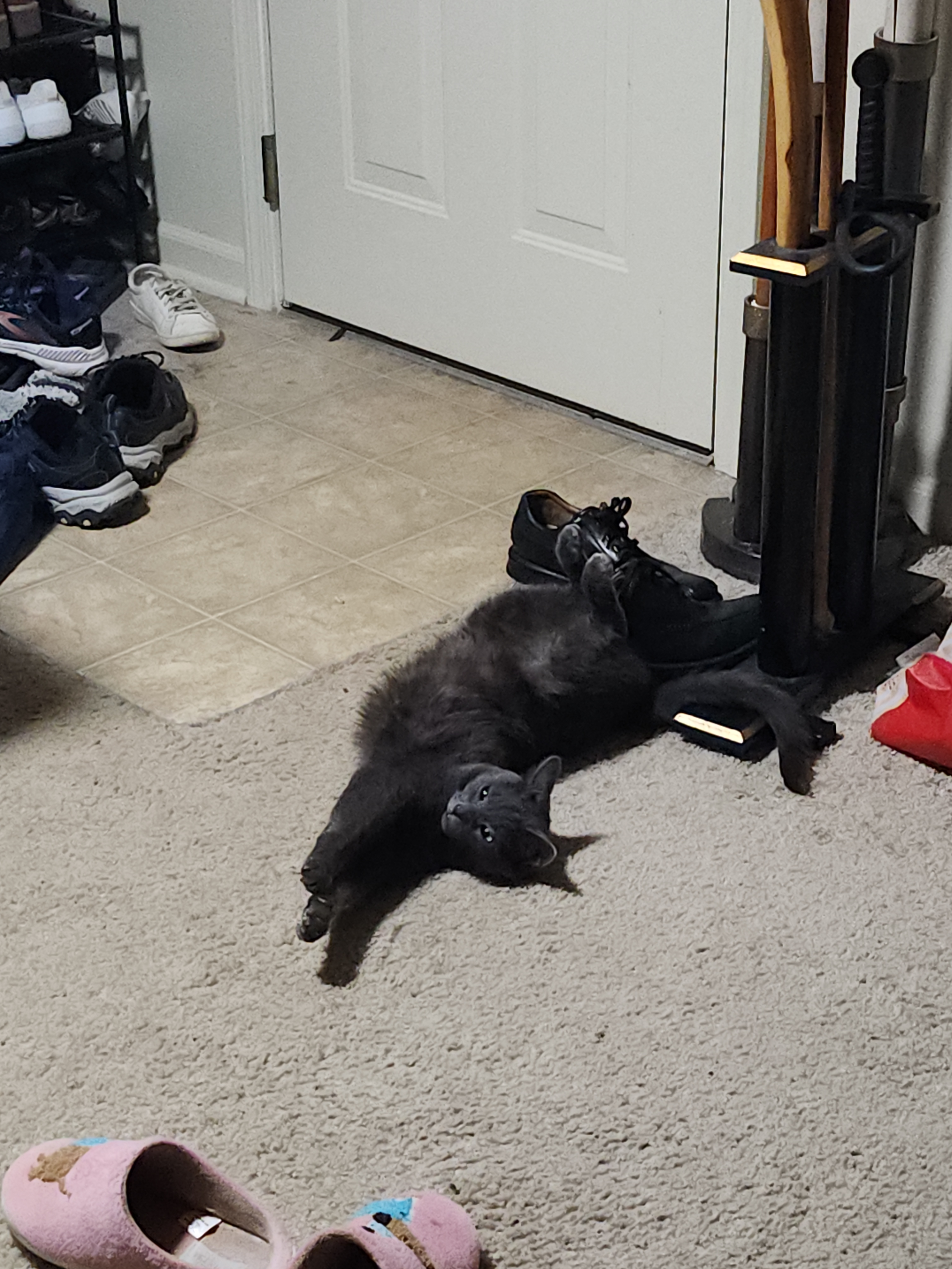 user avatar image for Eoptap