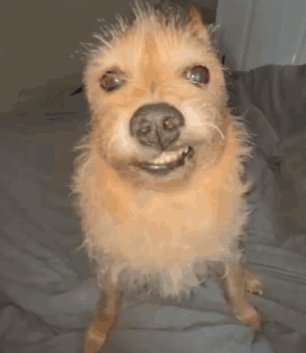 user avatar image for Jakob Cahill