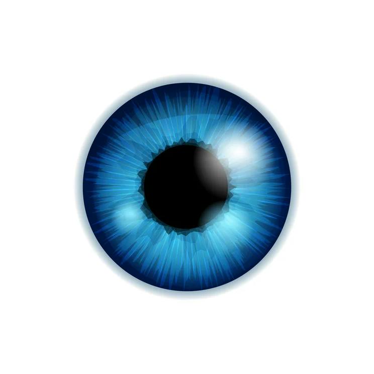 user avatar image for Stephen Gros