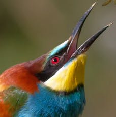 user avatar image for J Norville