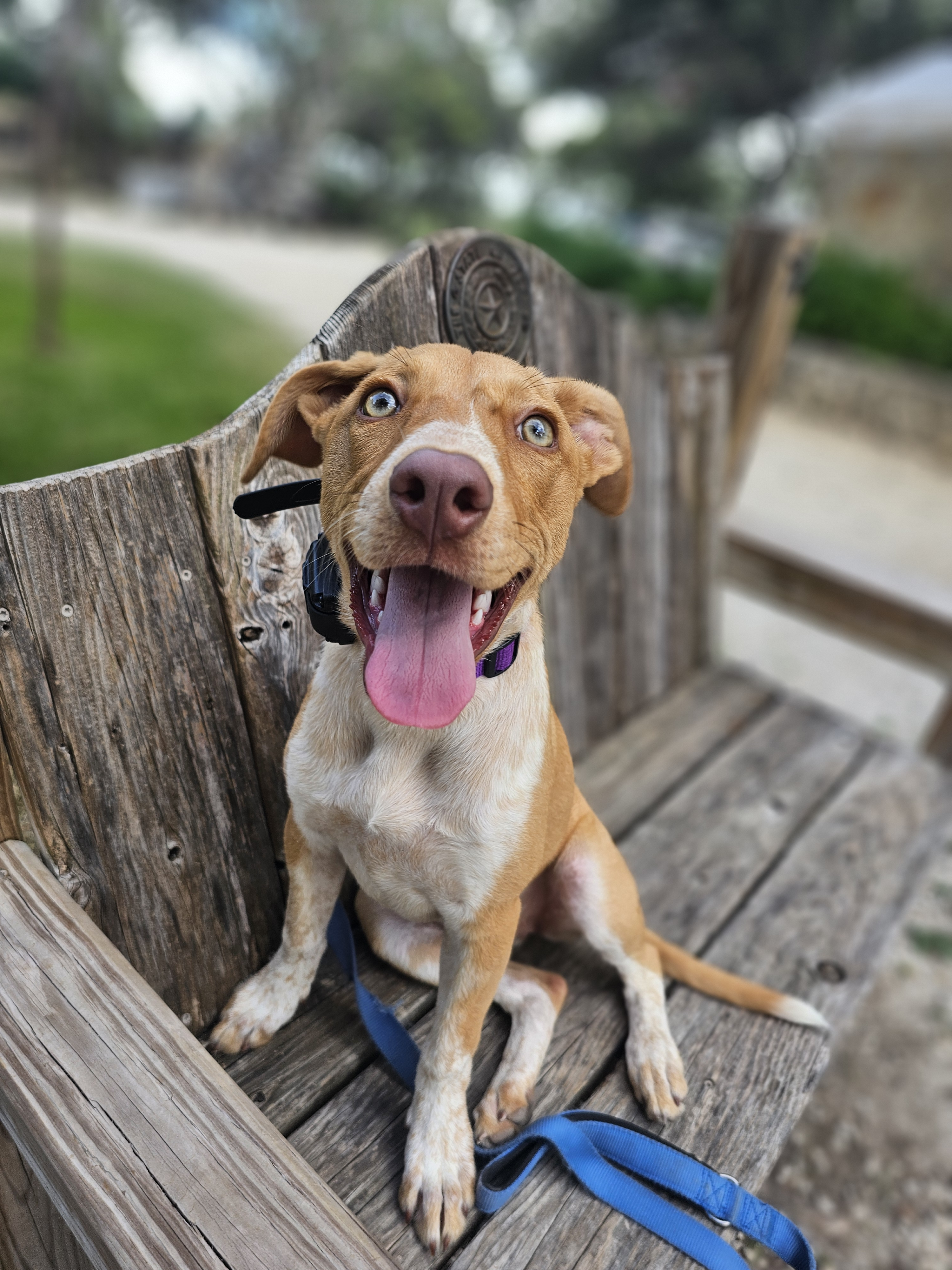 user avatar image for Michelle Kershaw