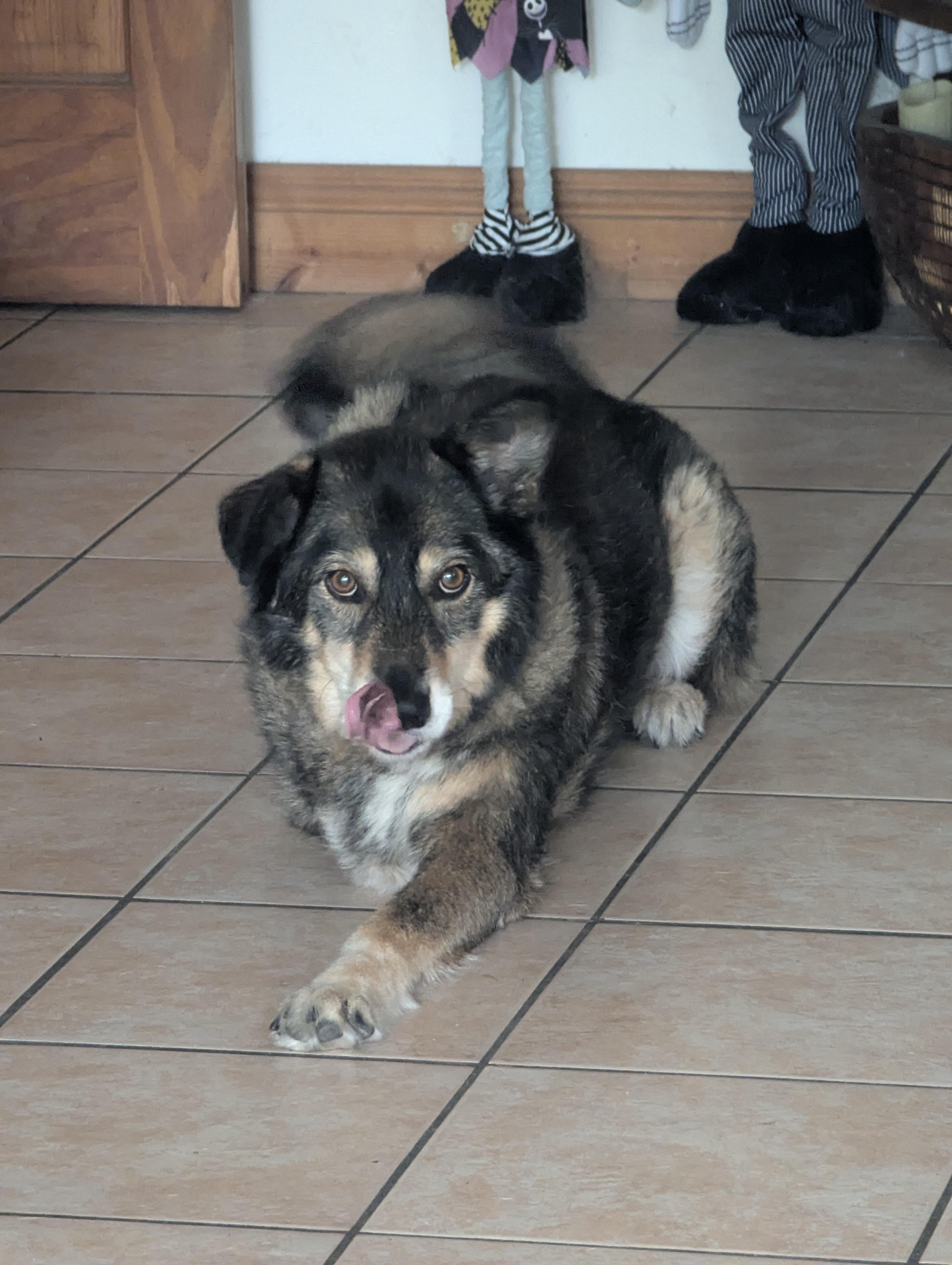 user avatar image for The King In Yellow