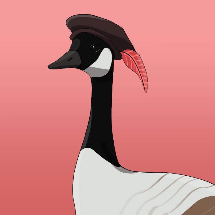 user avatar image for Melsa