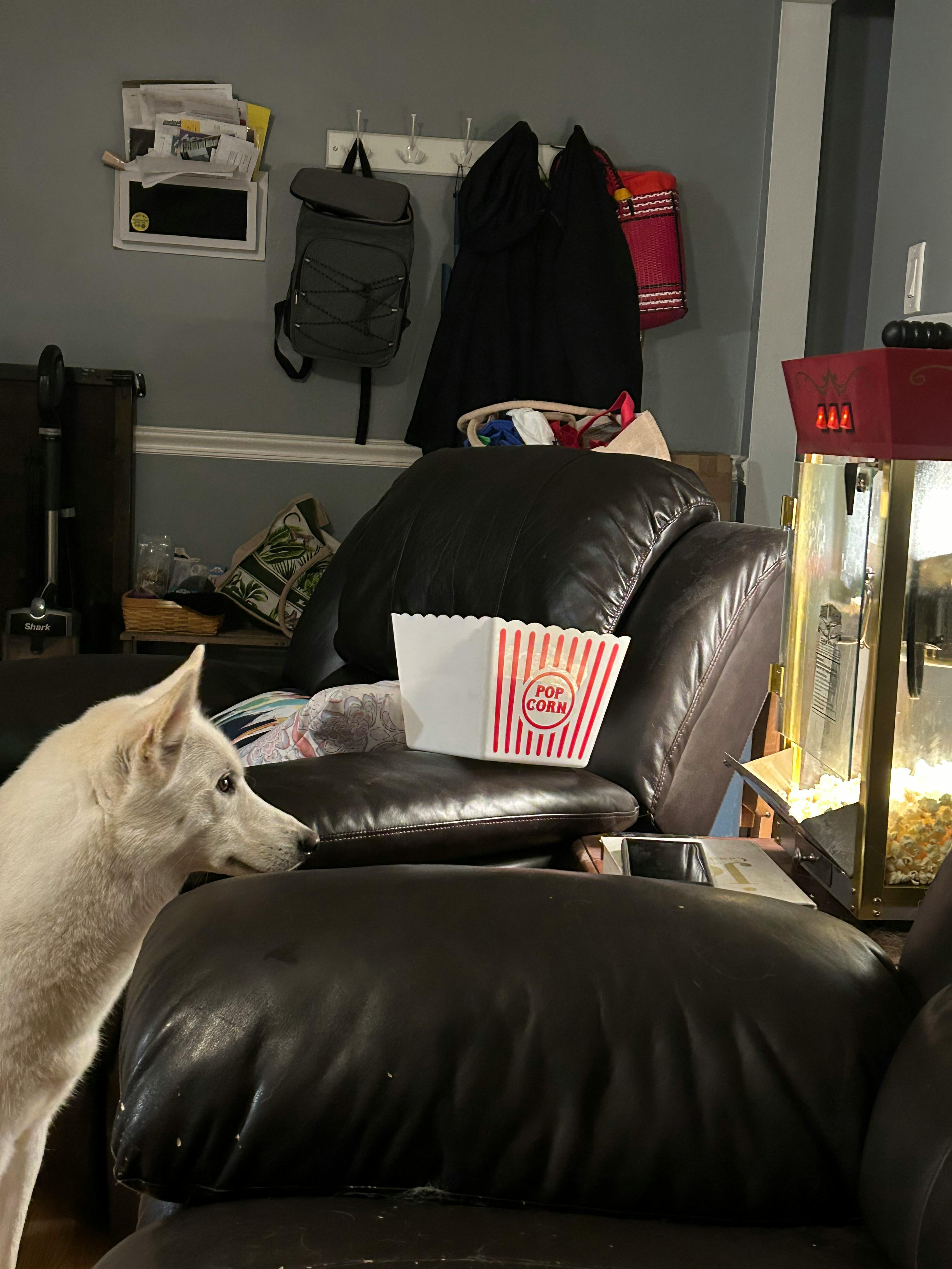 user avatar image for Anne Gordon