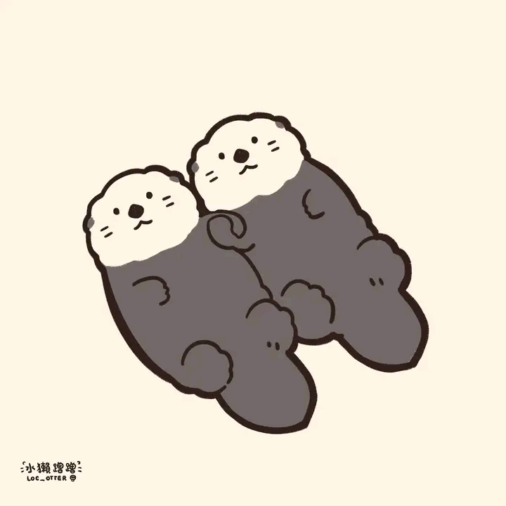 user avatar image for Midnight 