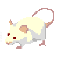 user avatar image for Arkitxu