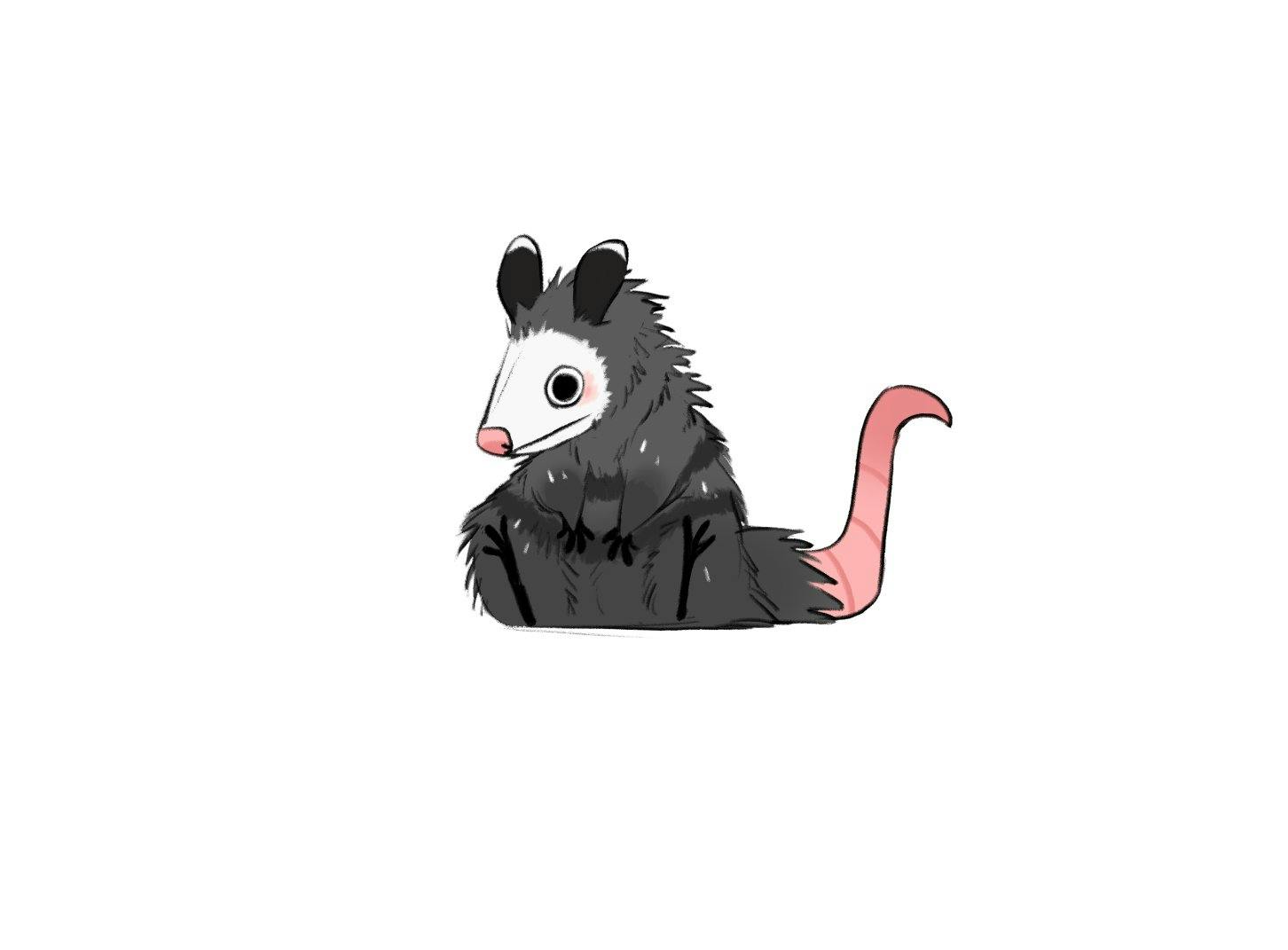 user avatar image for Leo Earley