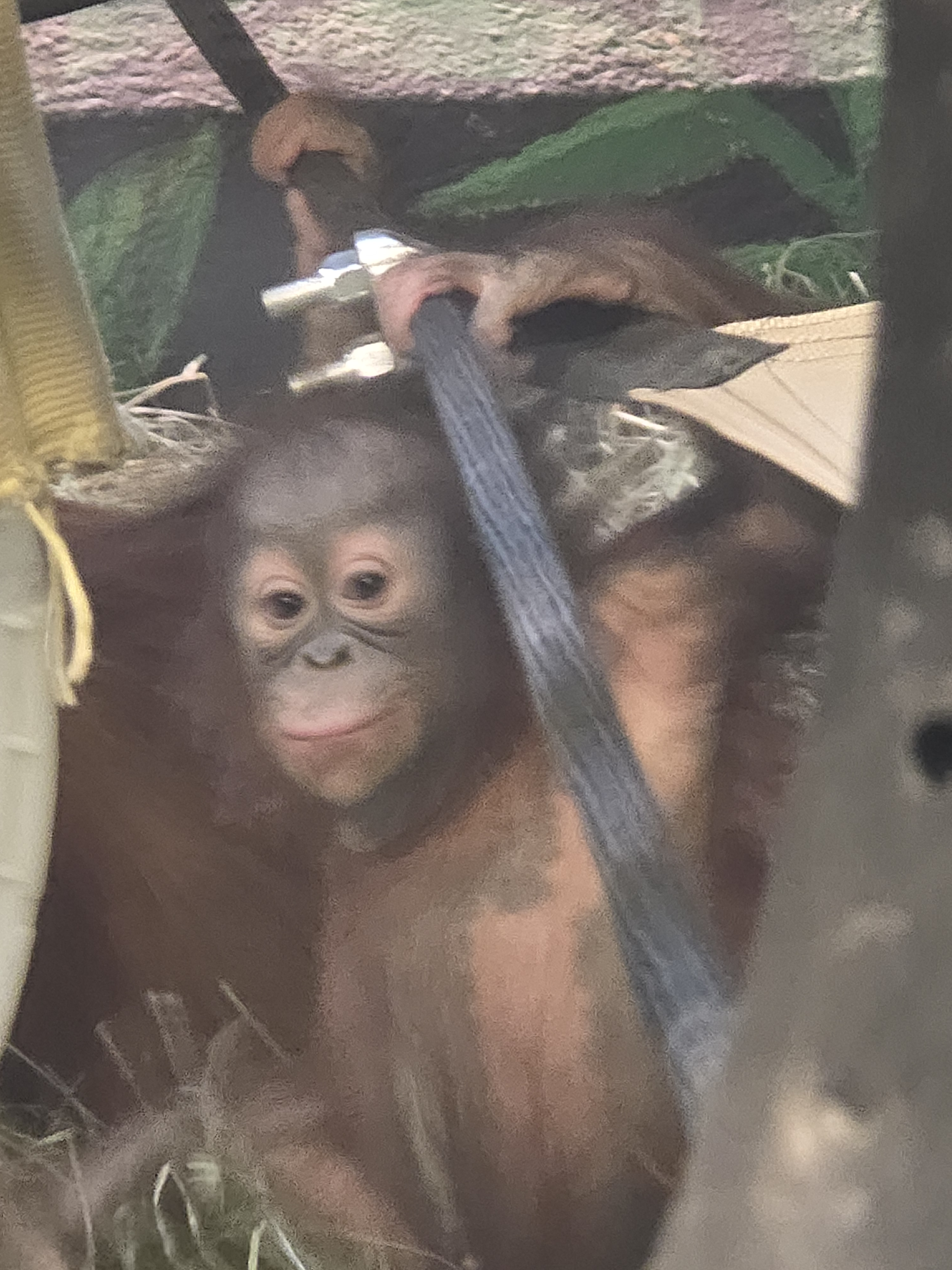 user avatar image for Shon