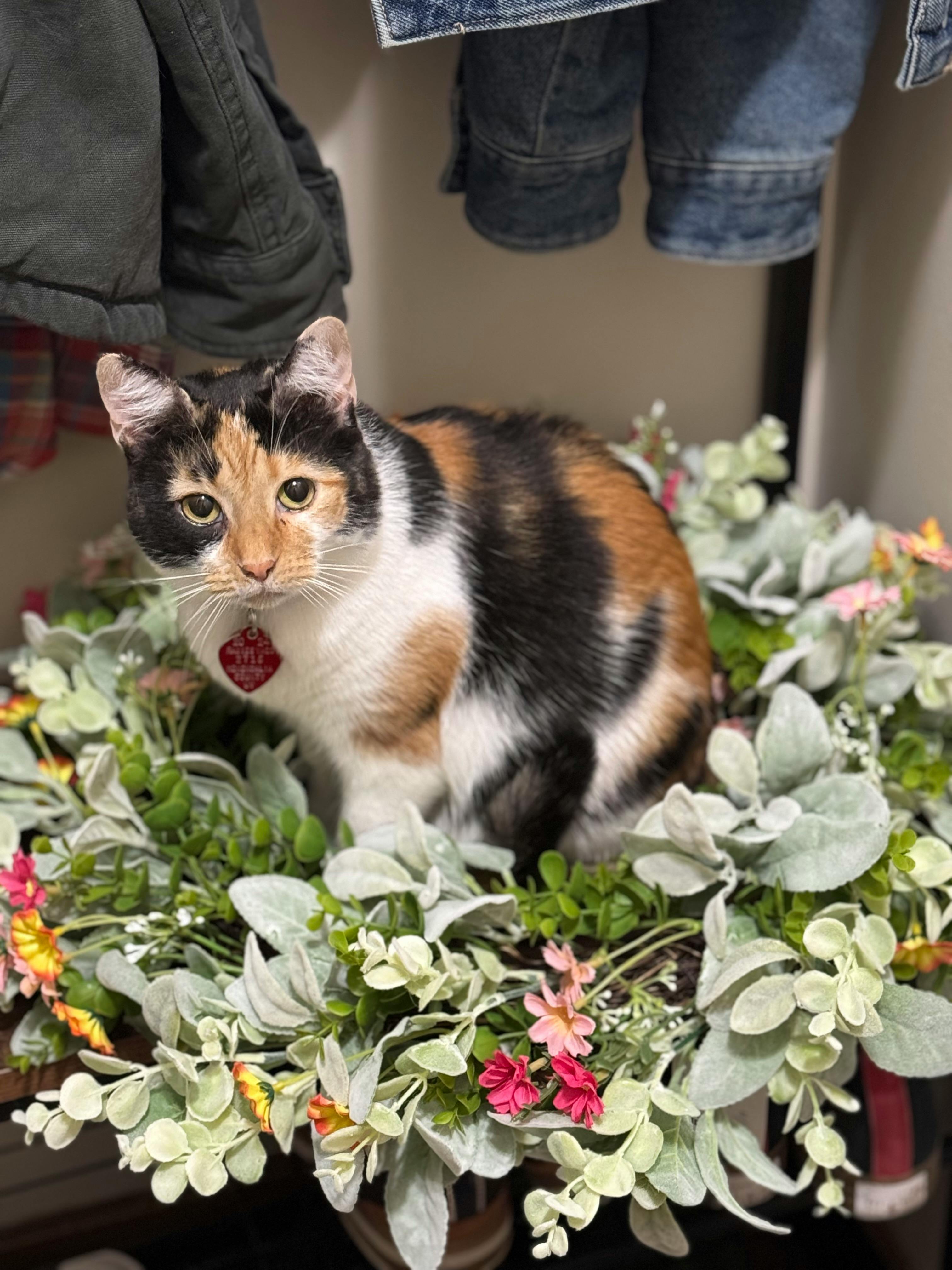 user avatar image for L1nk