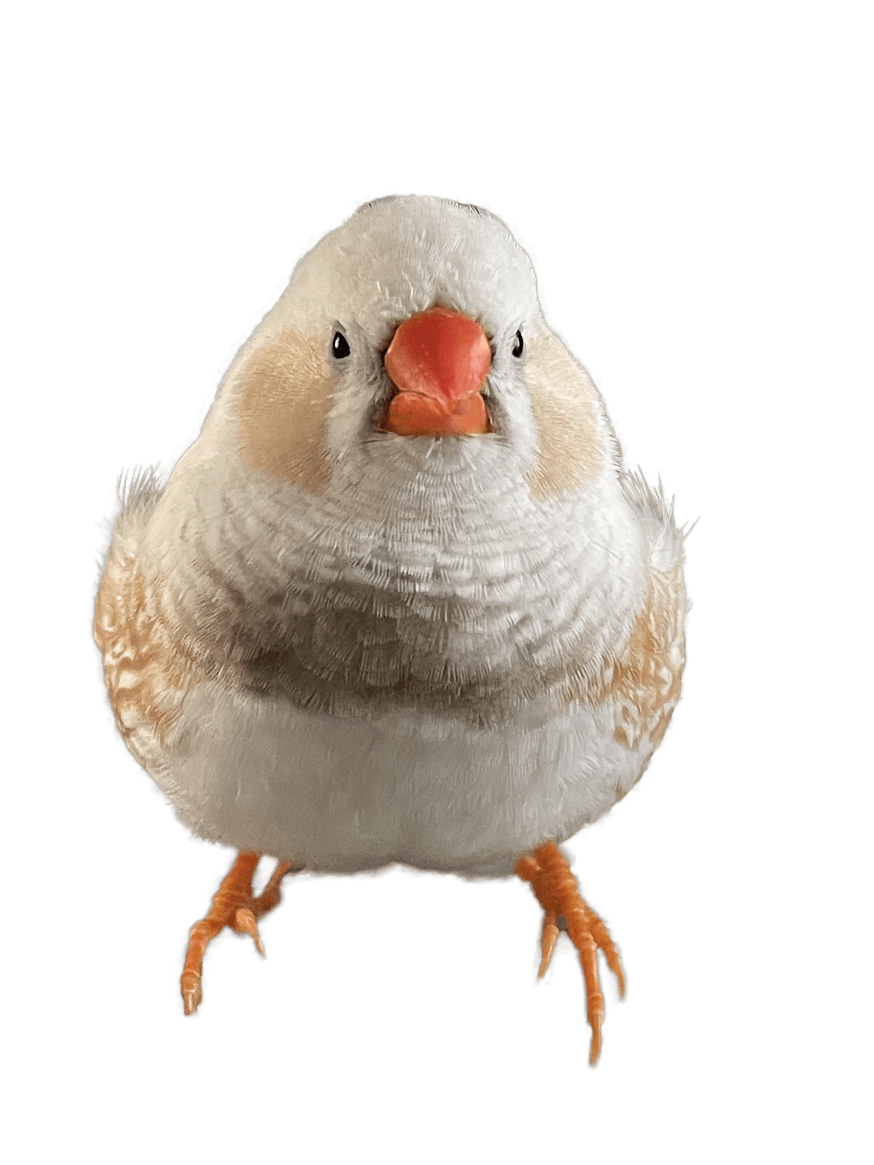 user avatar image for hatahataE