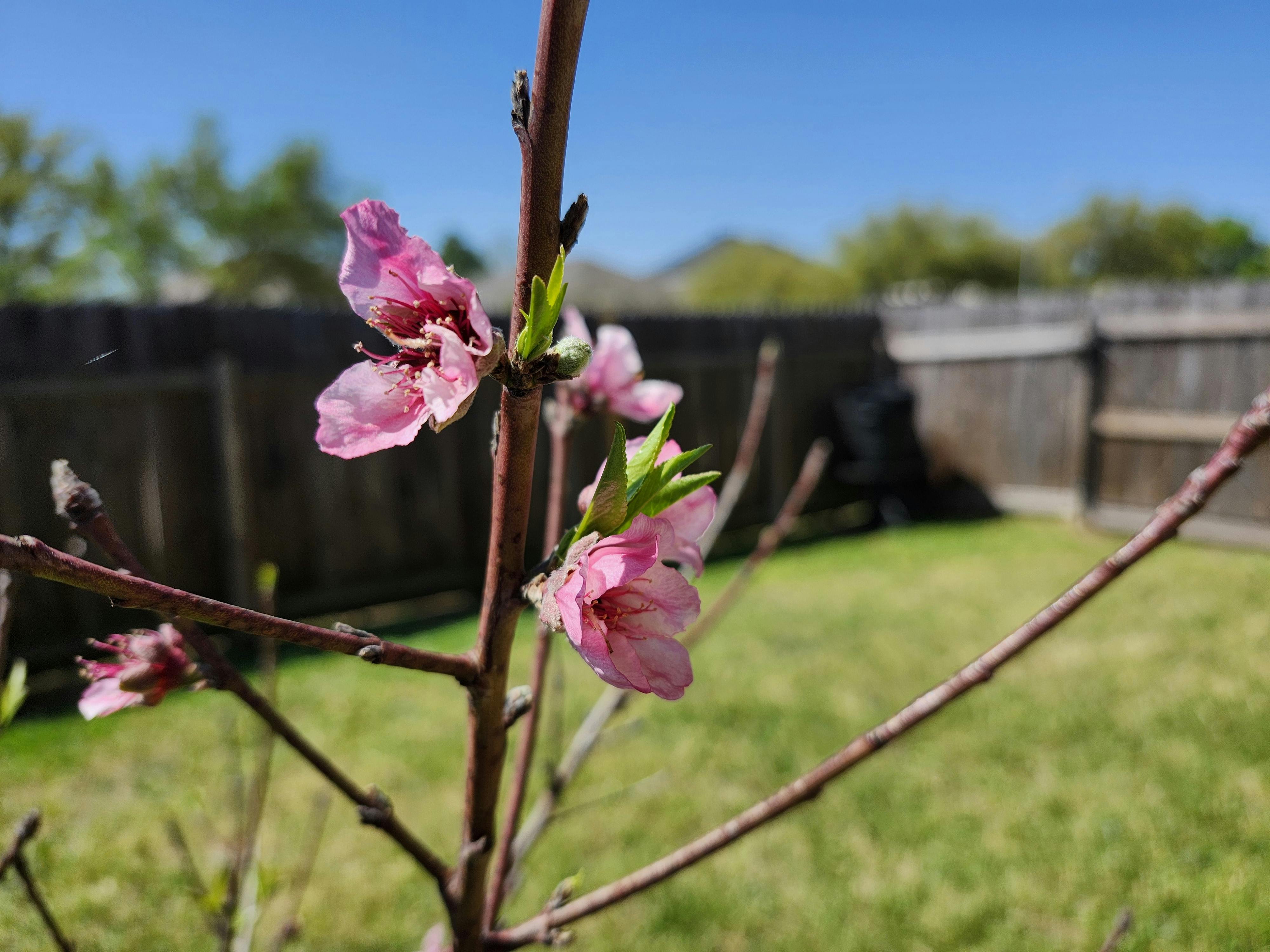 user avatar image for Hien