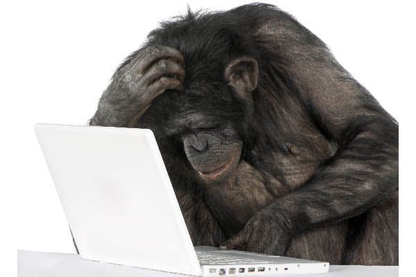 user avatar image for tunabeans