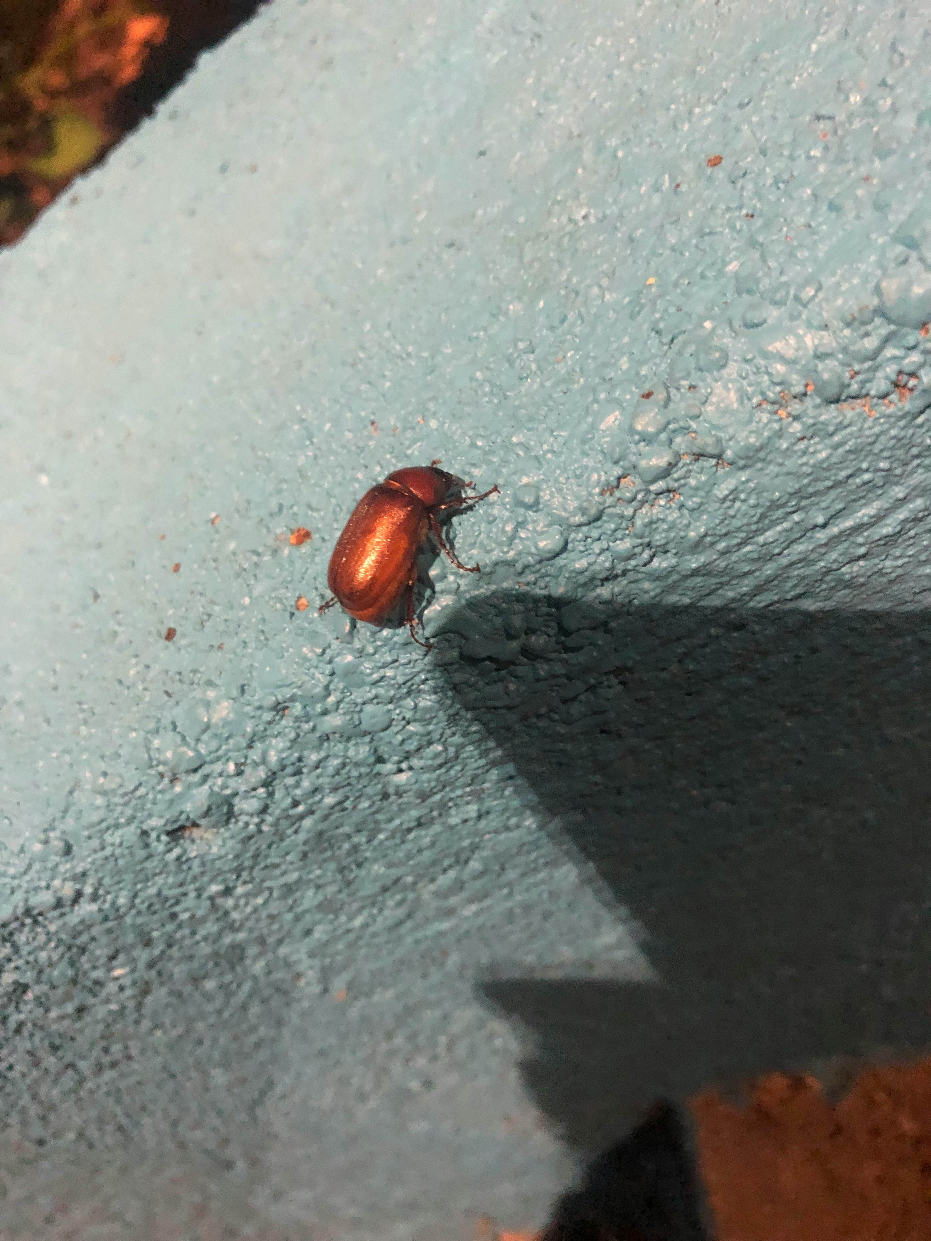 user avatar image for dwndsk