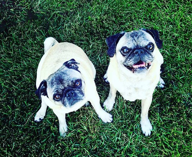 user avatar image for Cassi Foster