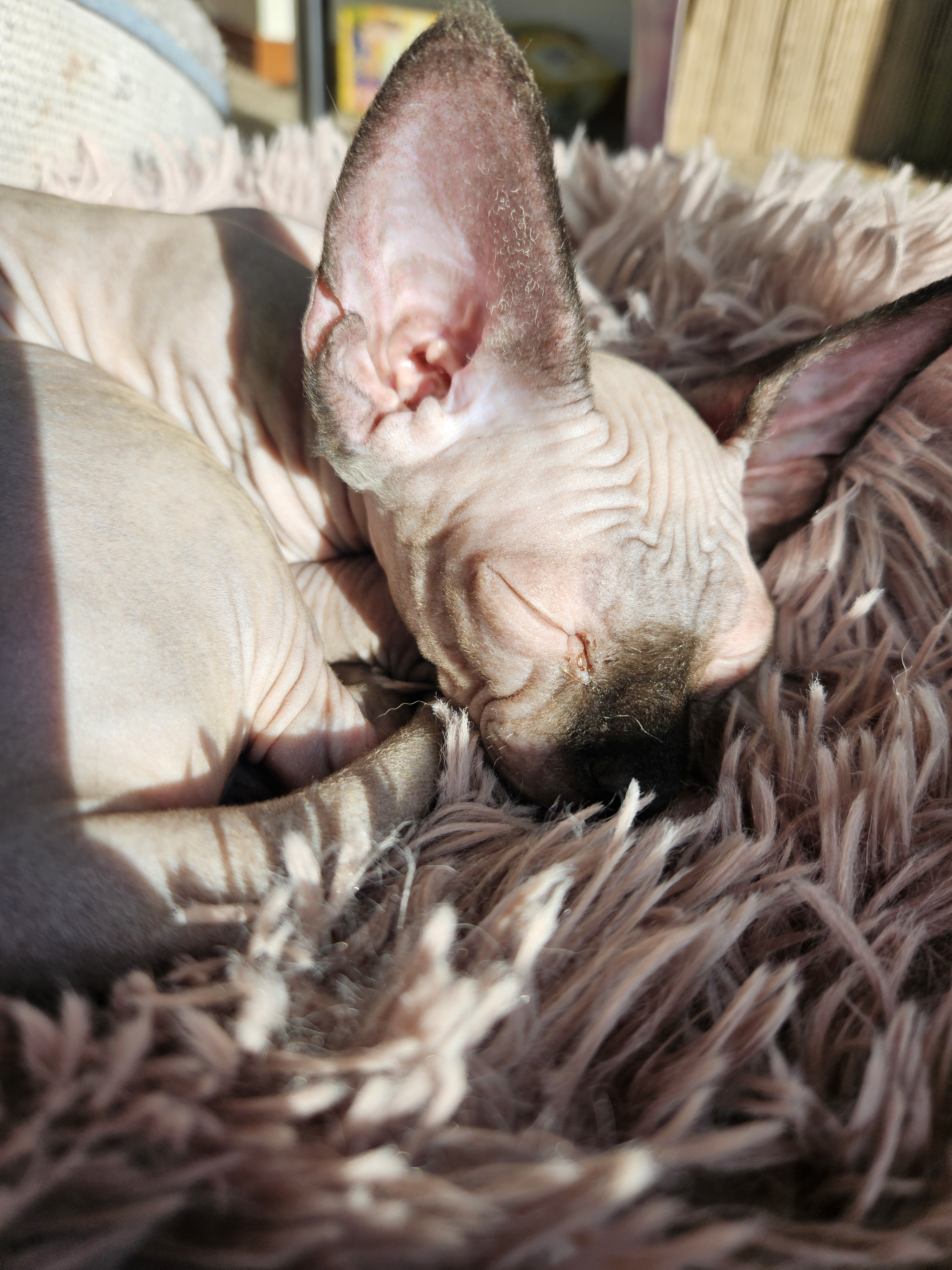 user avatar image for S Lorenz 