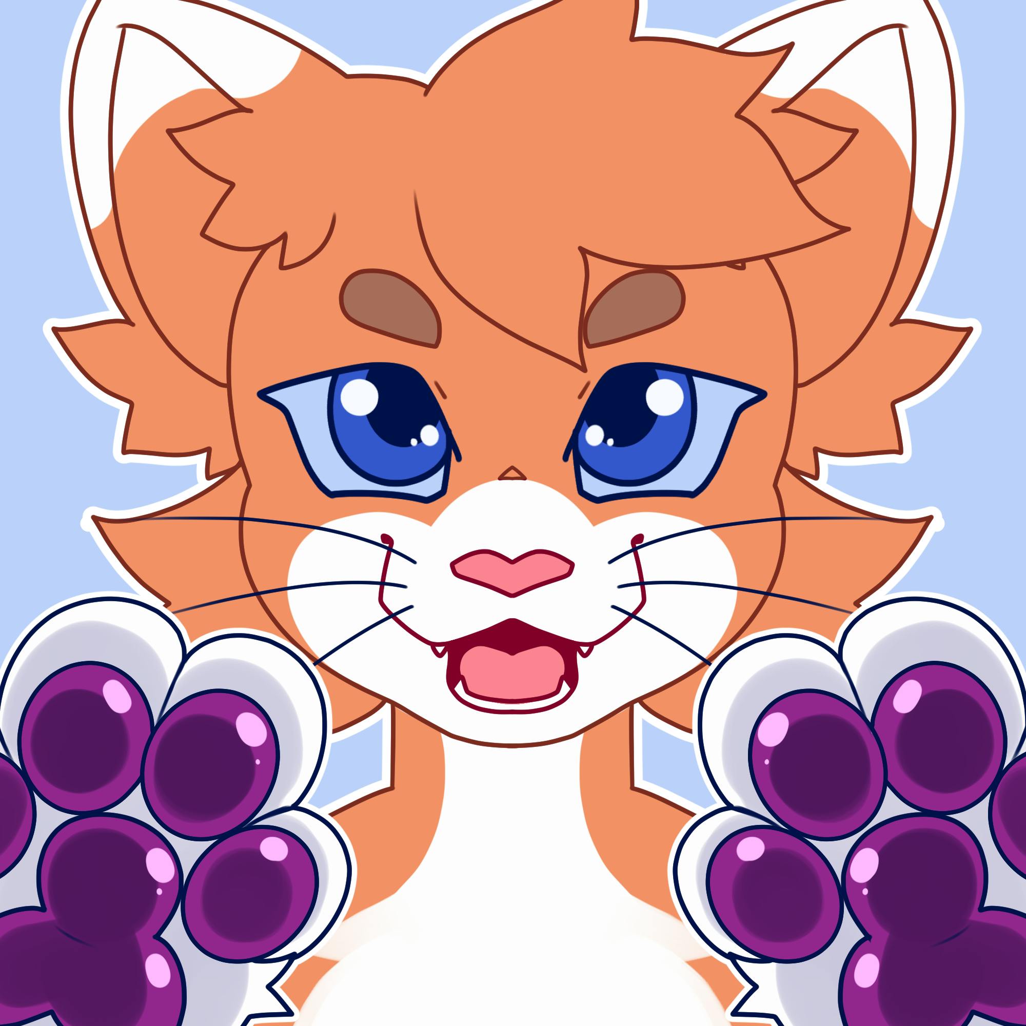 user avatar image for cloudskater