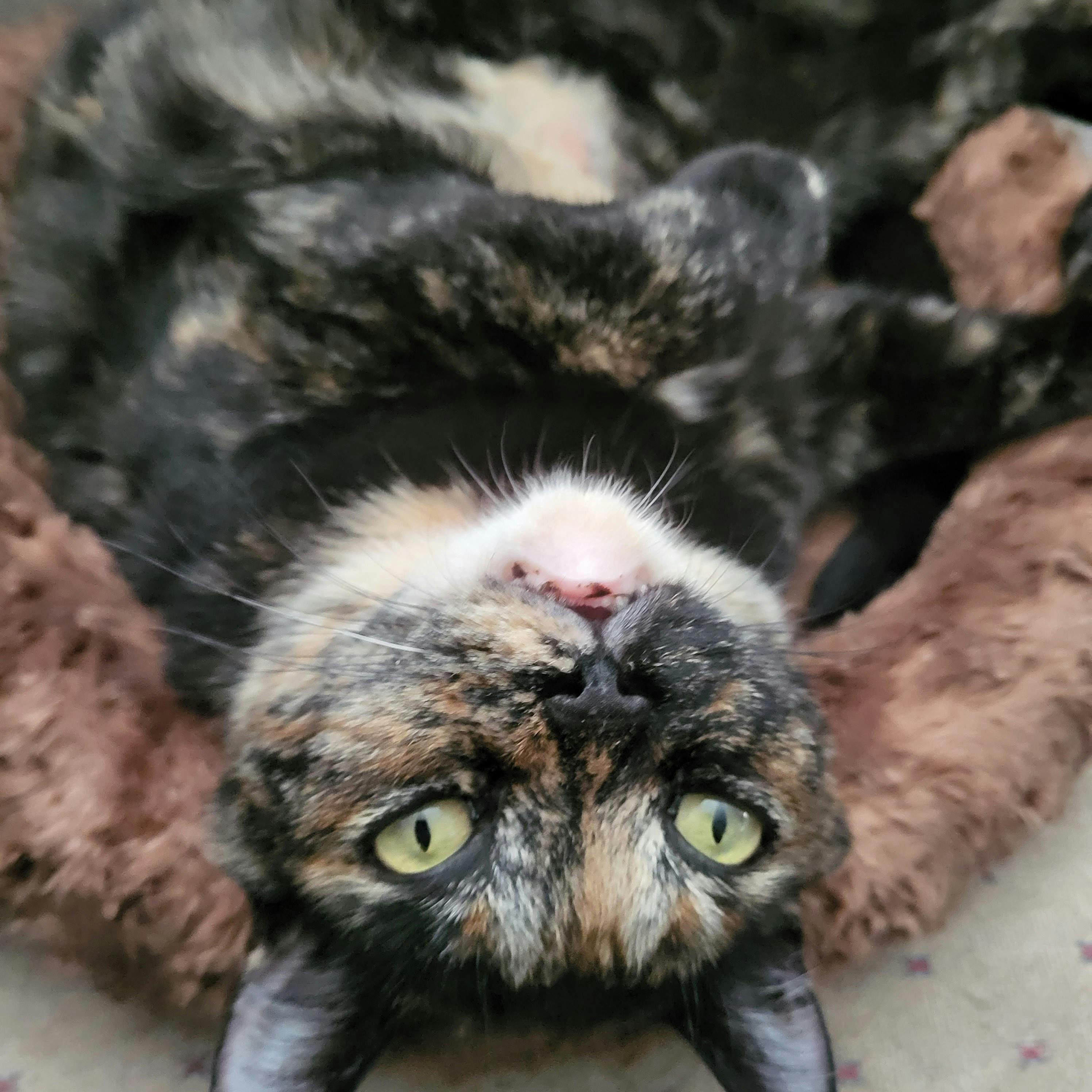 user avatar image for Onathrin