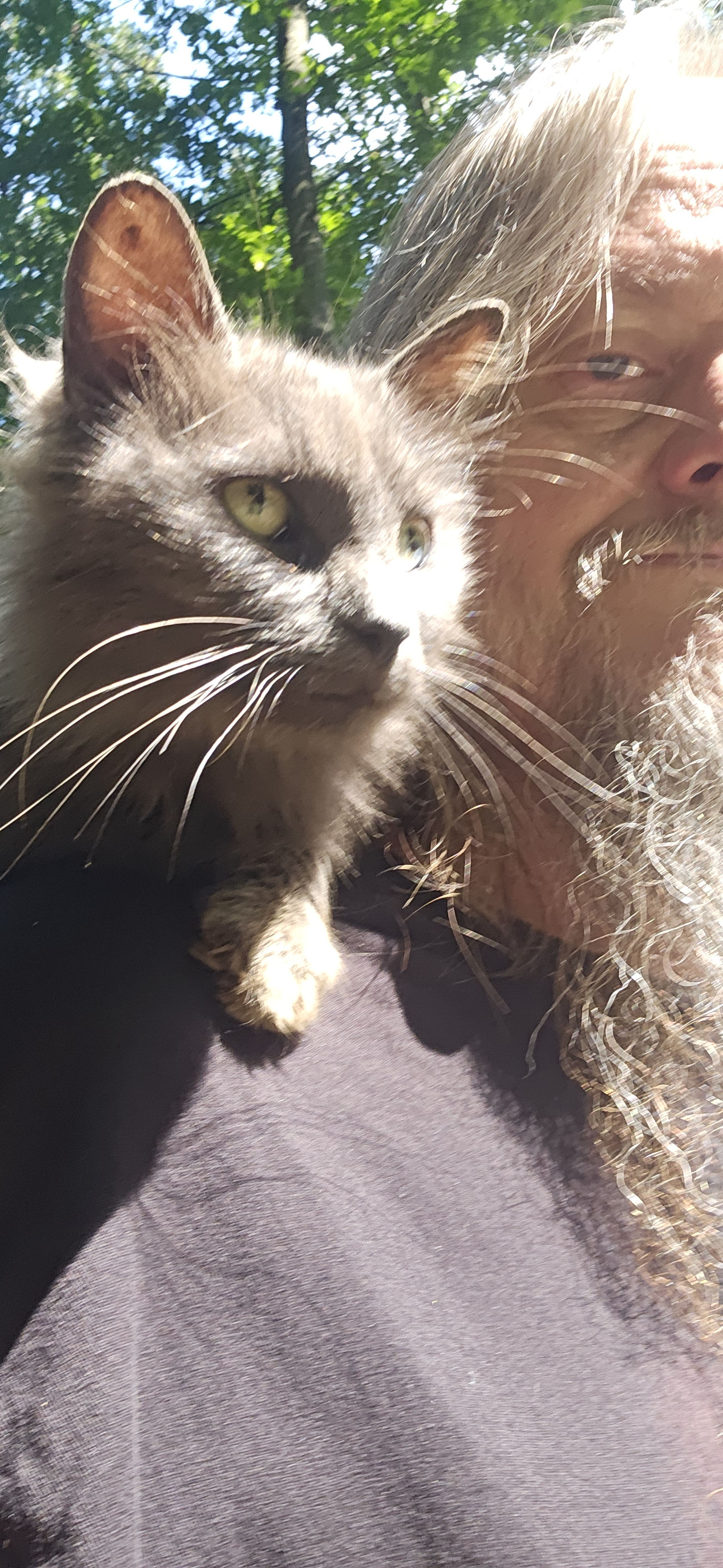 user avatar image for Lee