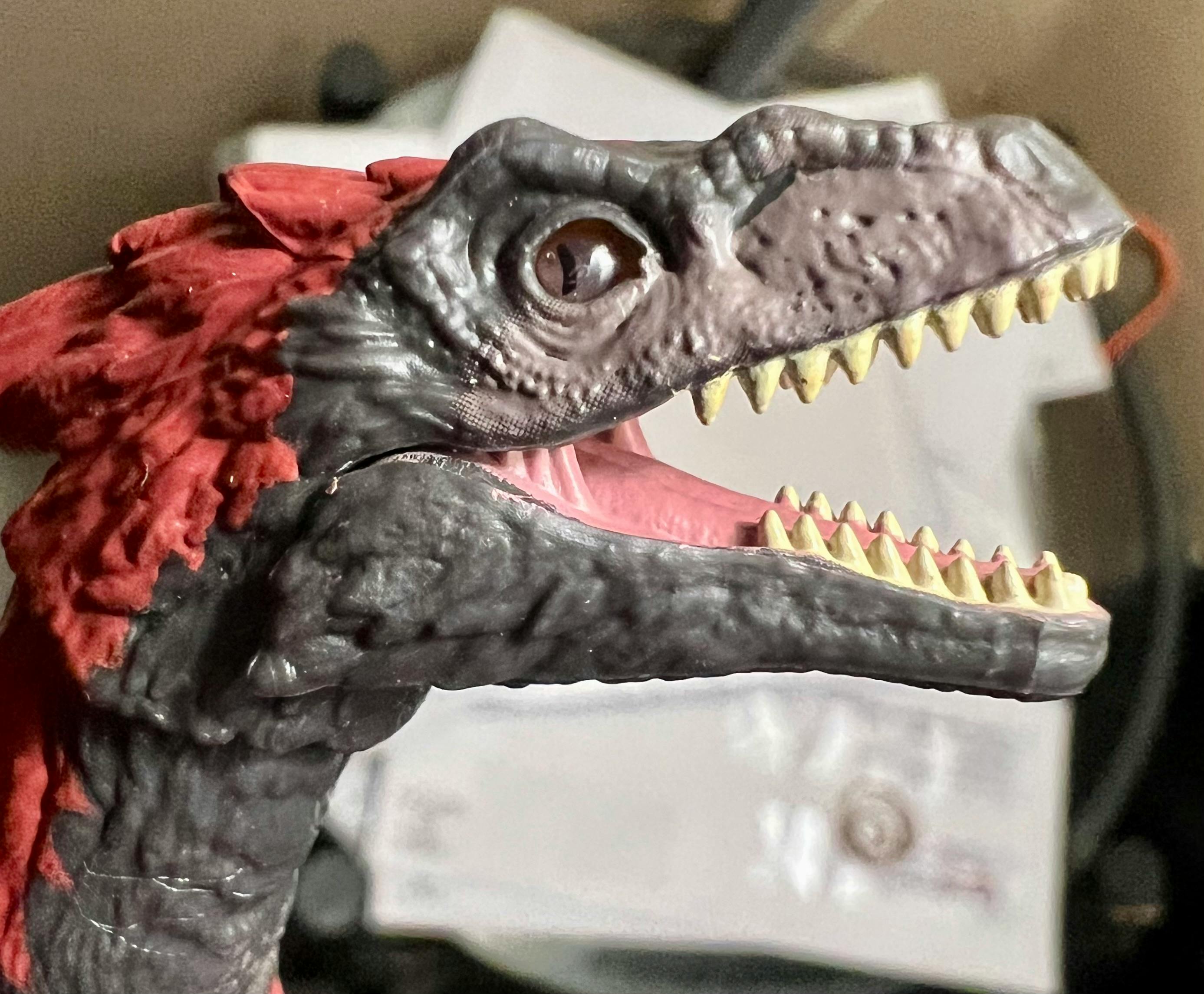 user avatar image for Random Raptor 77