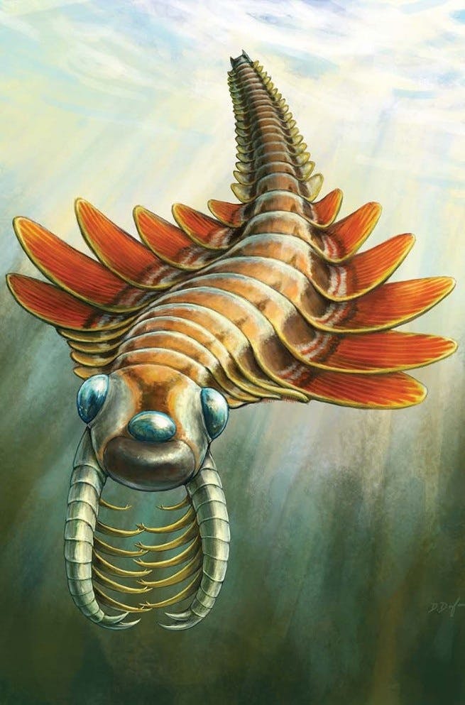 user avatar image for Dakota