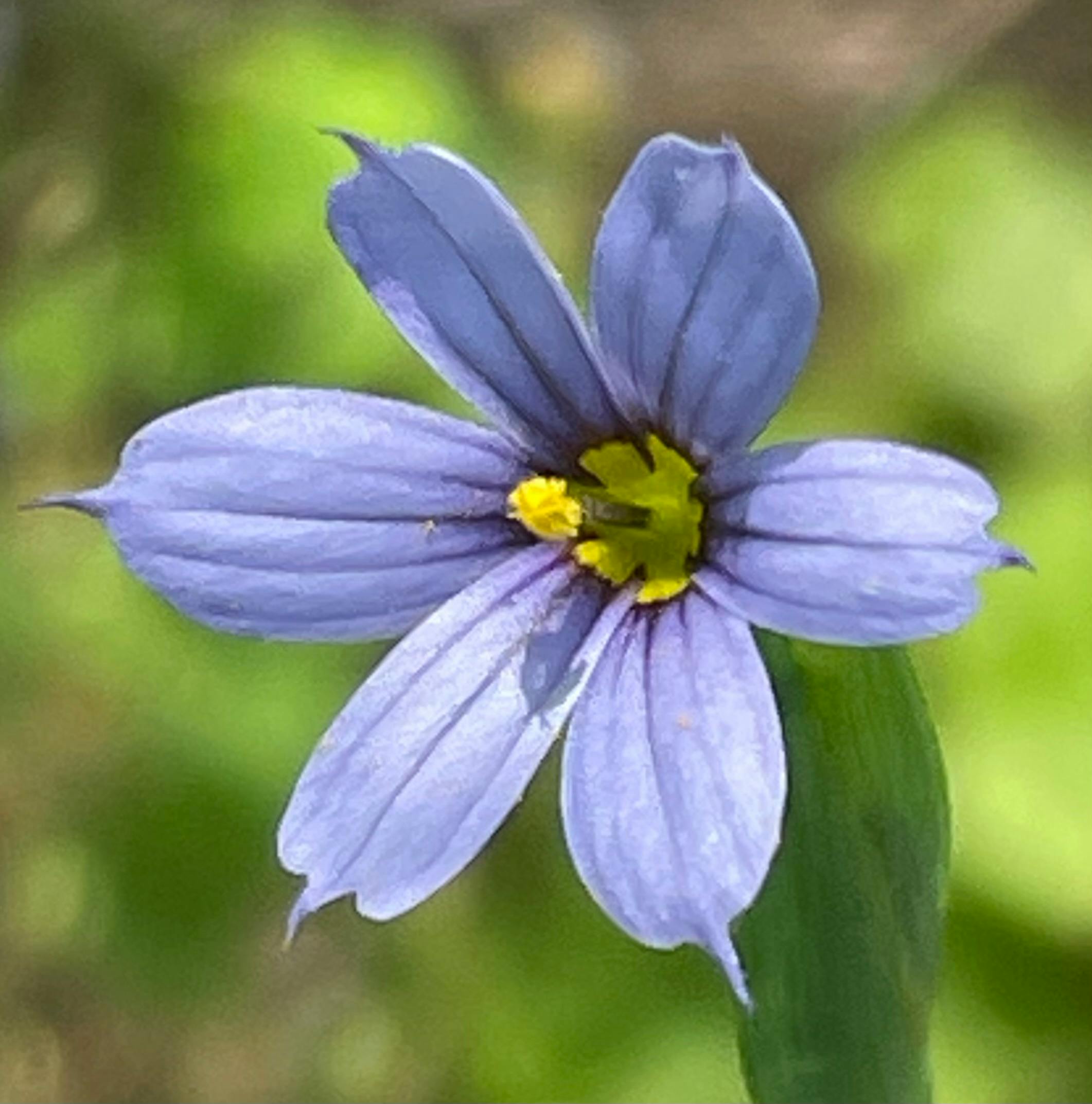 user avatar image for Robin