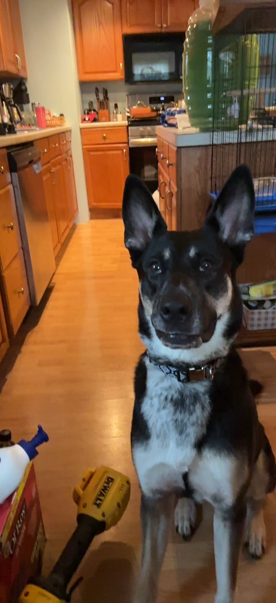 user avatar image for Jamie Fazenbaker