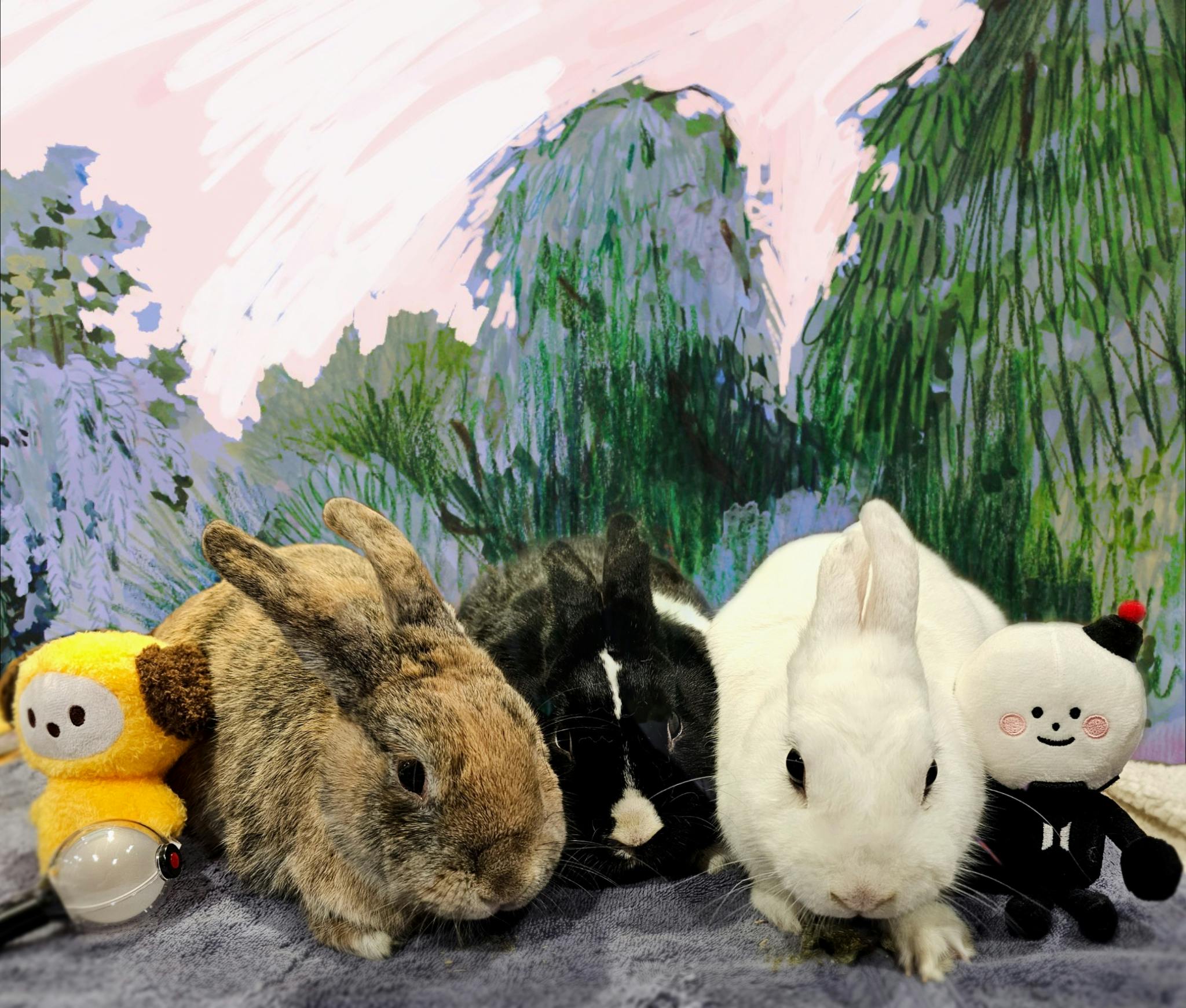 user avatar image for Hoi