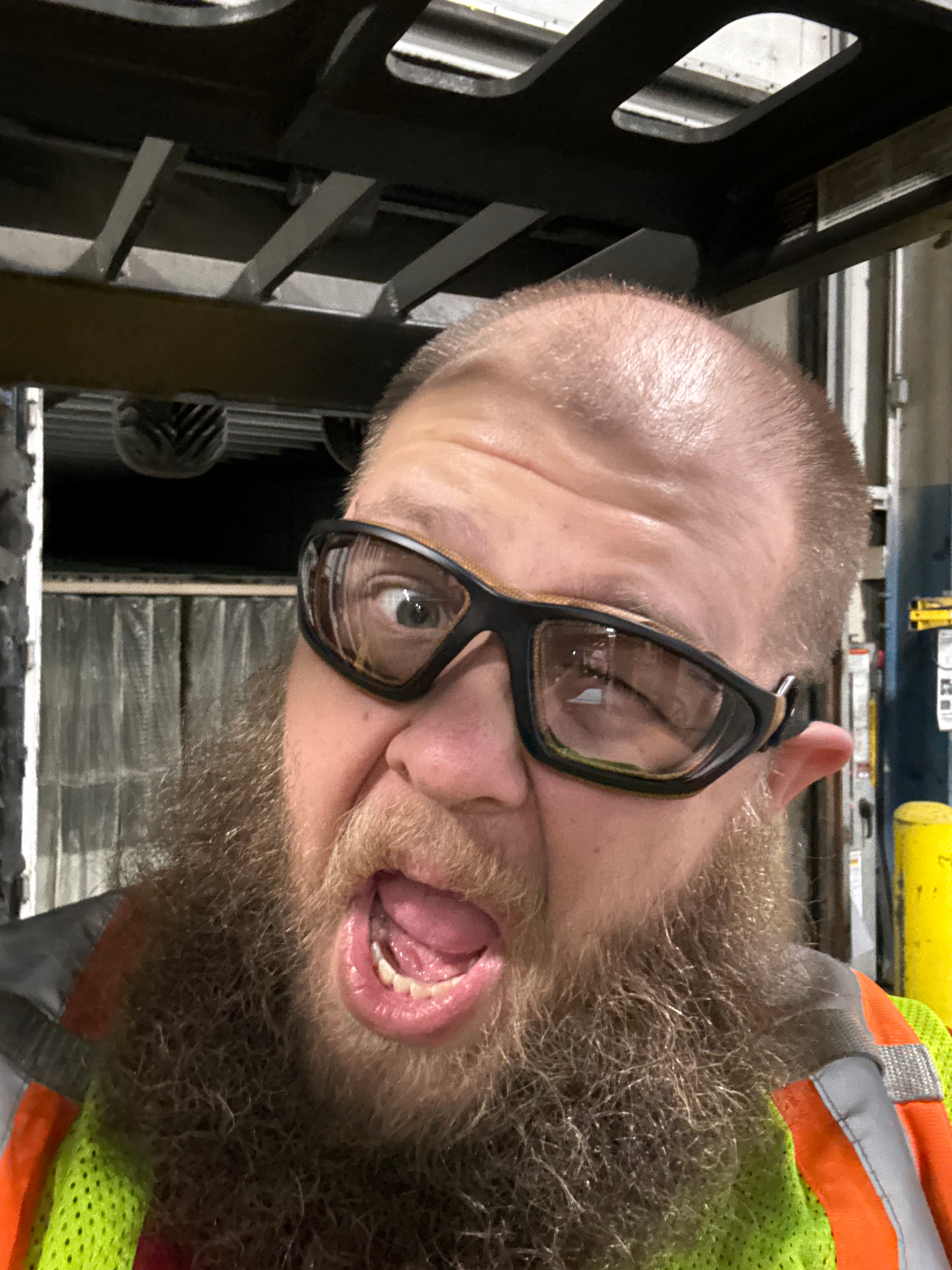 user avatar image for Bradley B