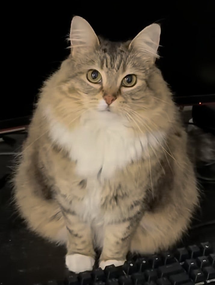 user avatar image for Alex George