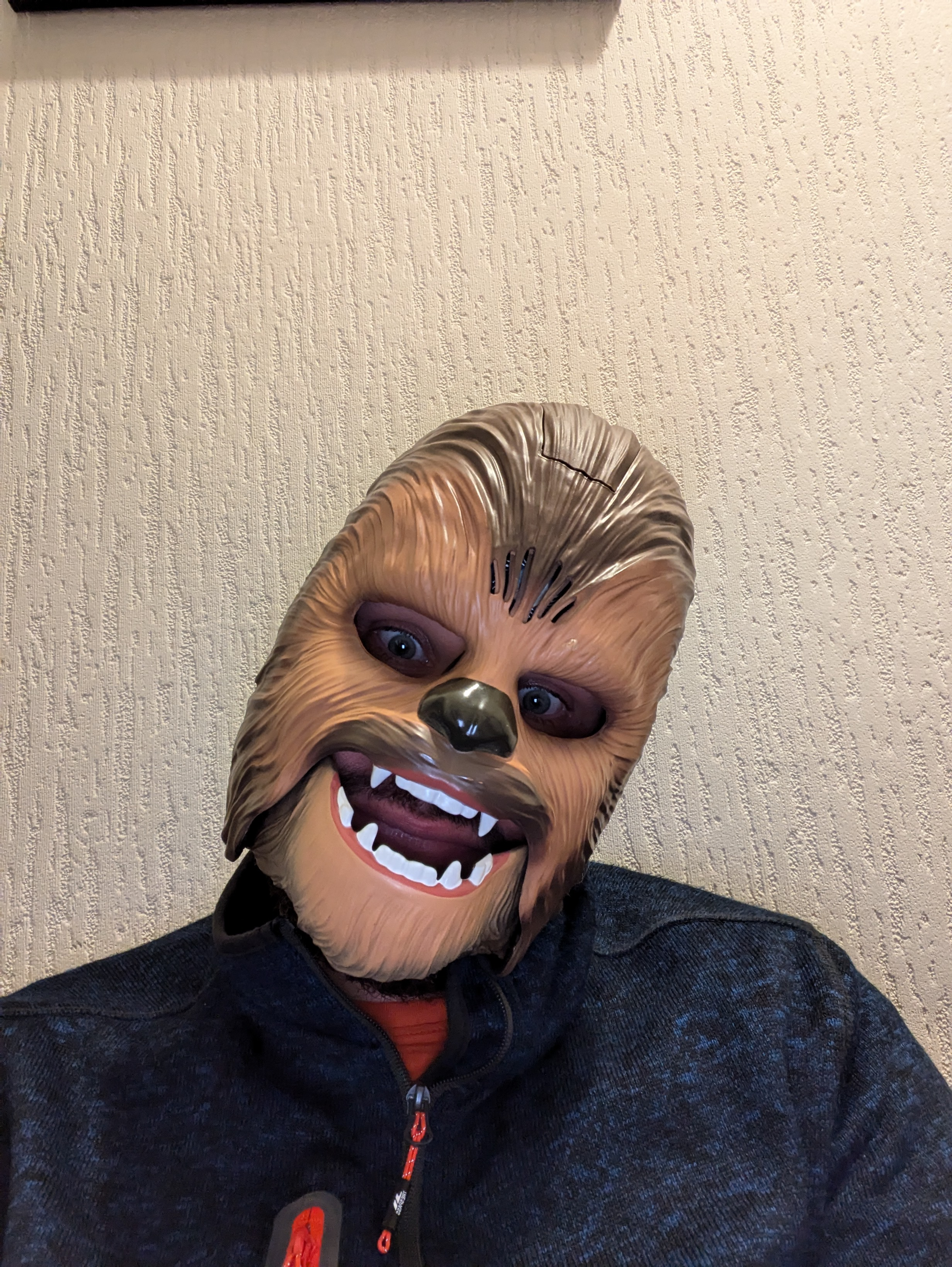 user avatar image for Mike Lomax 