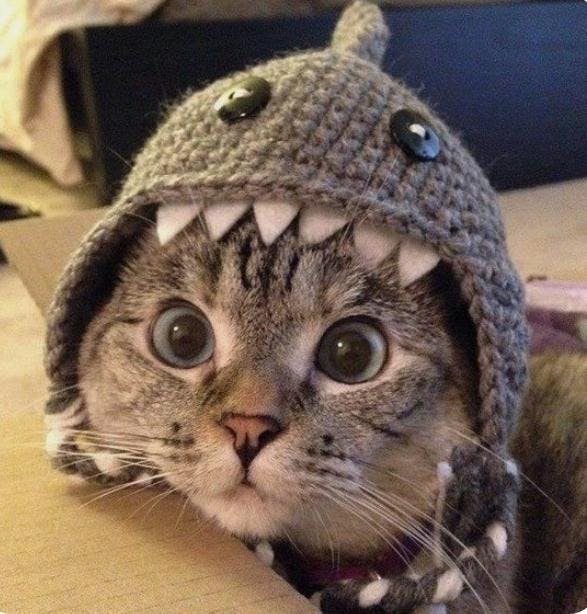 user avatar image for Ravencroft82