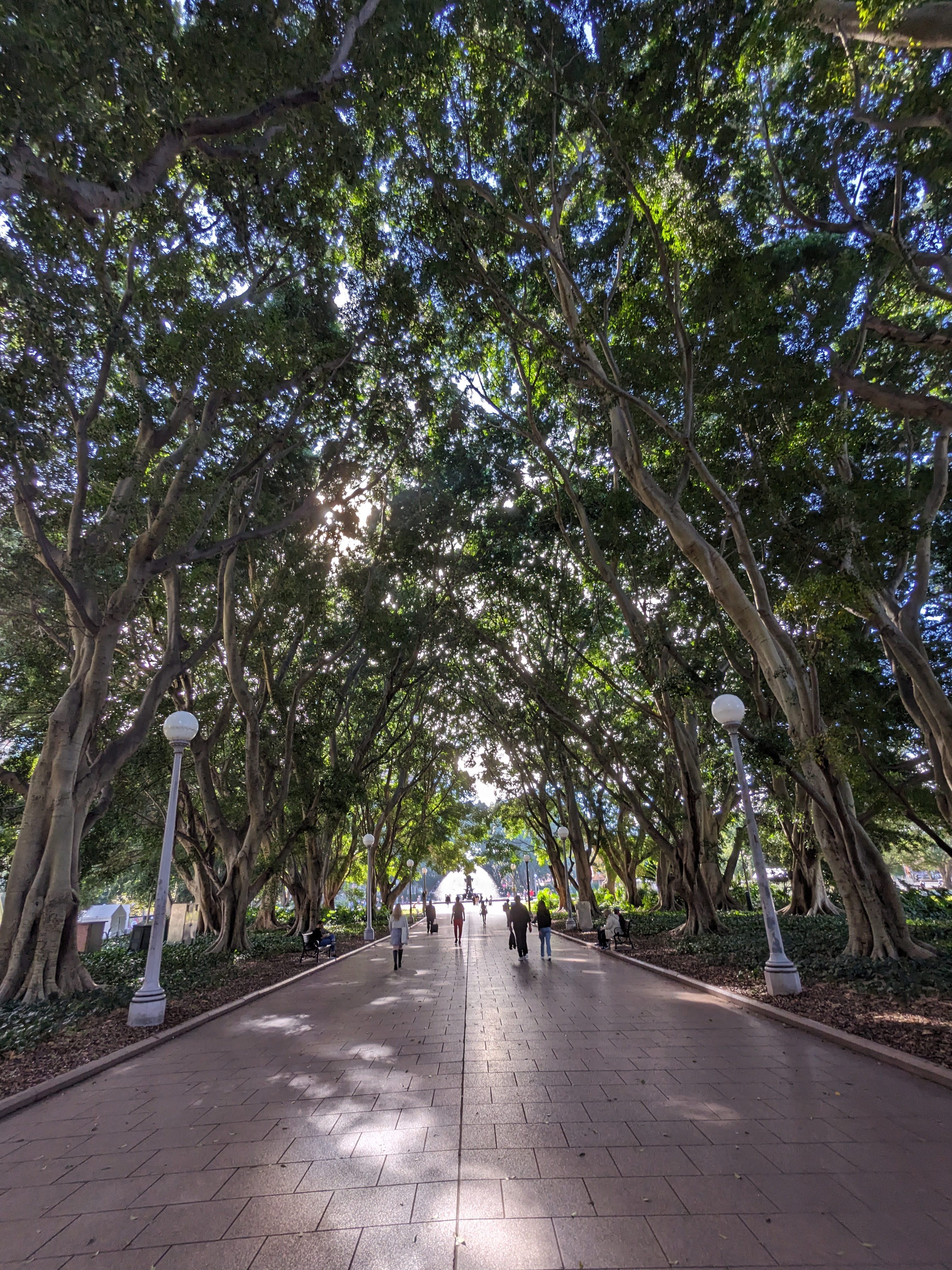 user avatar image for T