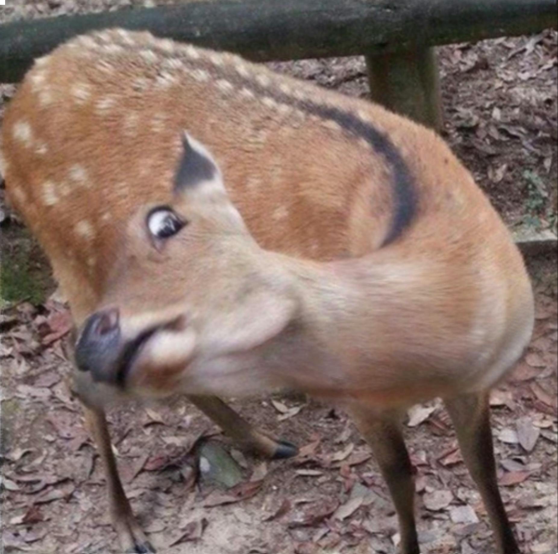 user avatar image for Dominic B.