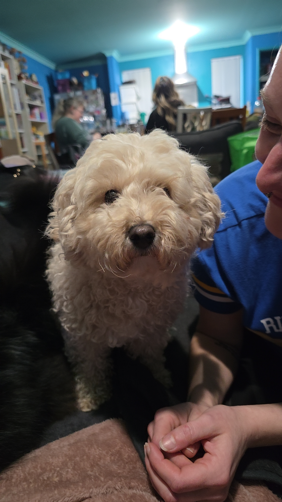 user avatar image for Natasha