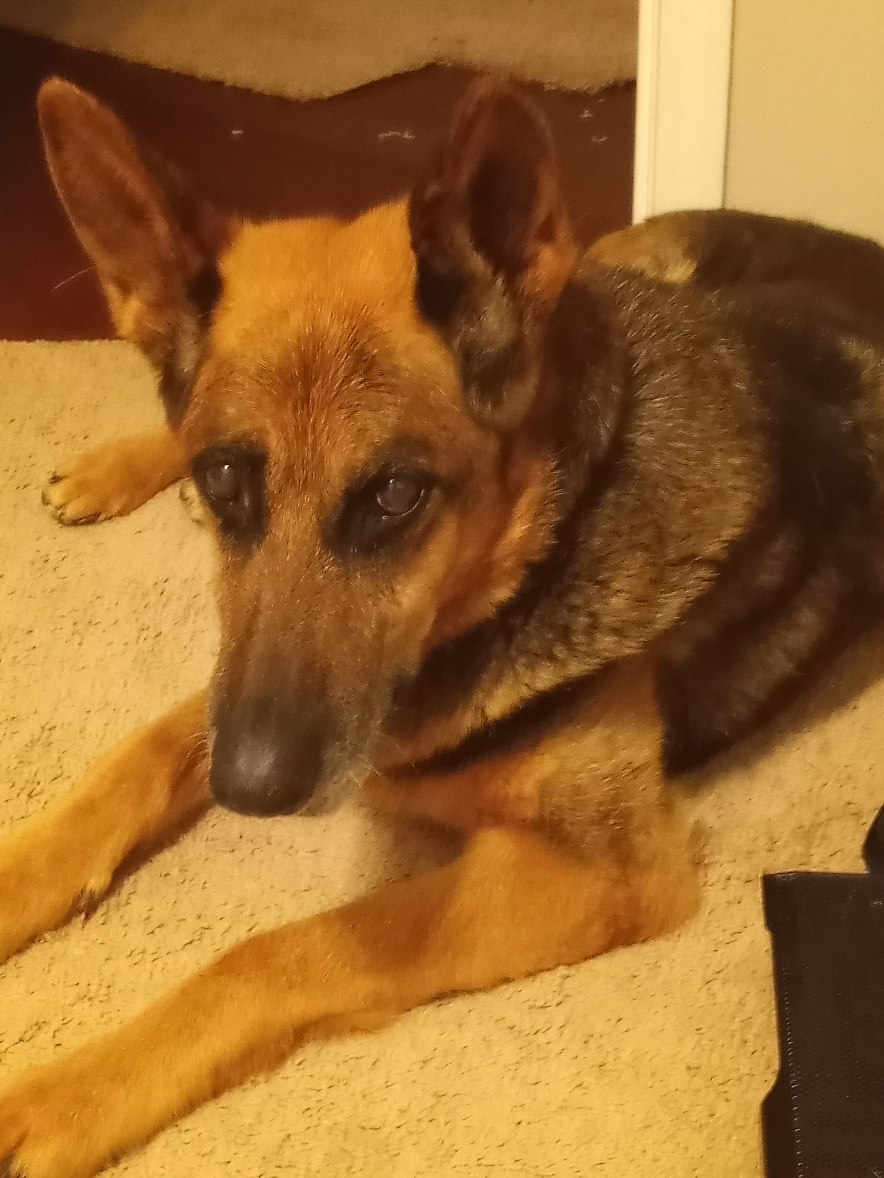 user avatar image for HolyMfCow