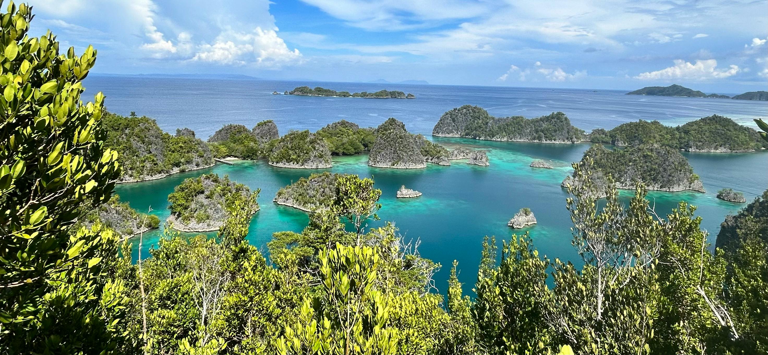 user avatar image for Sparwok