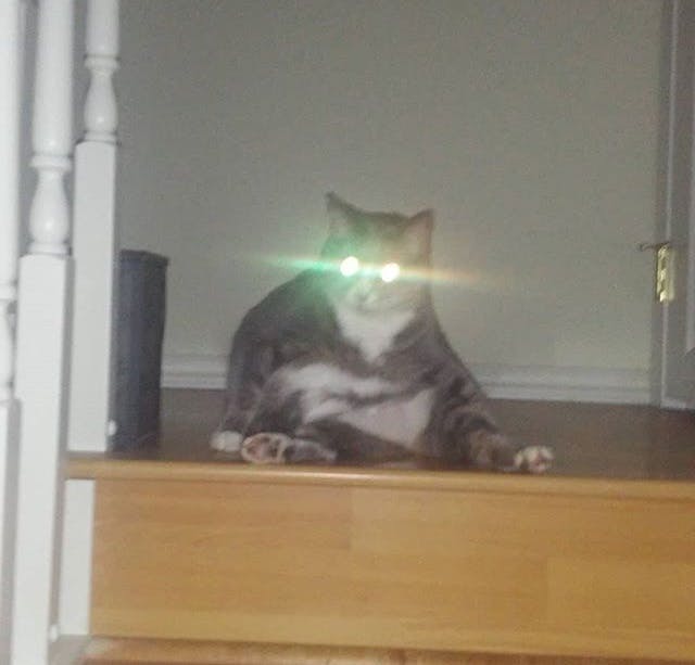 user avatar image for CheesyPuff48