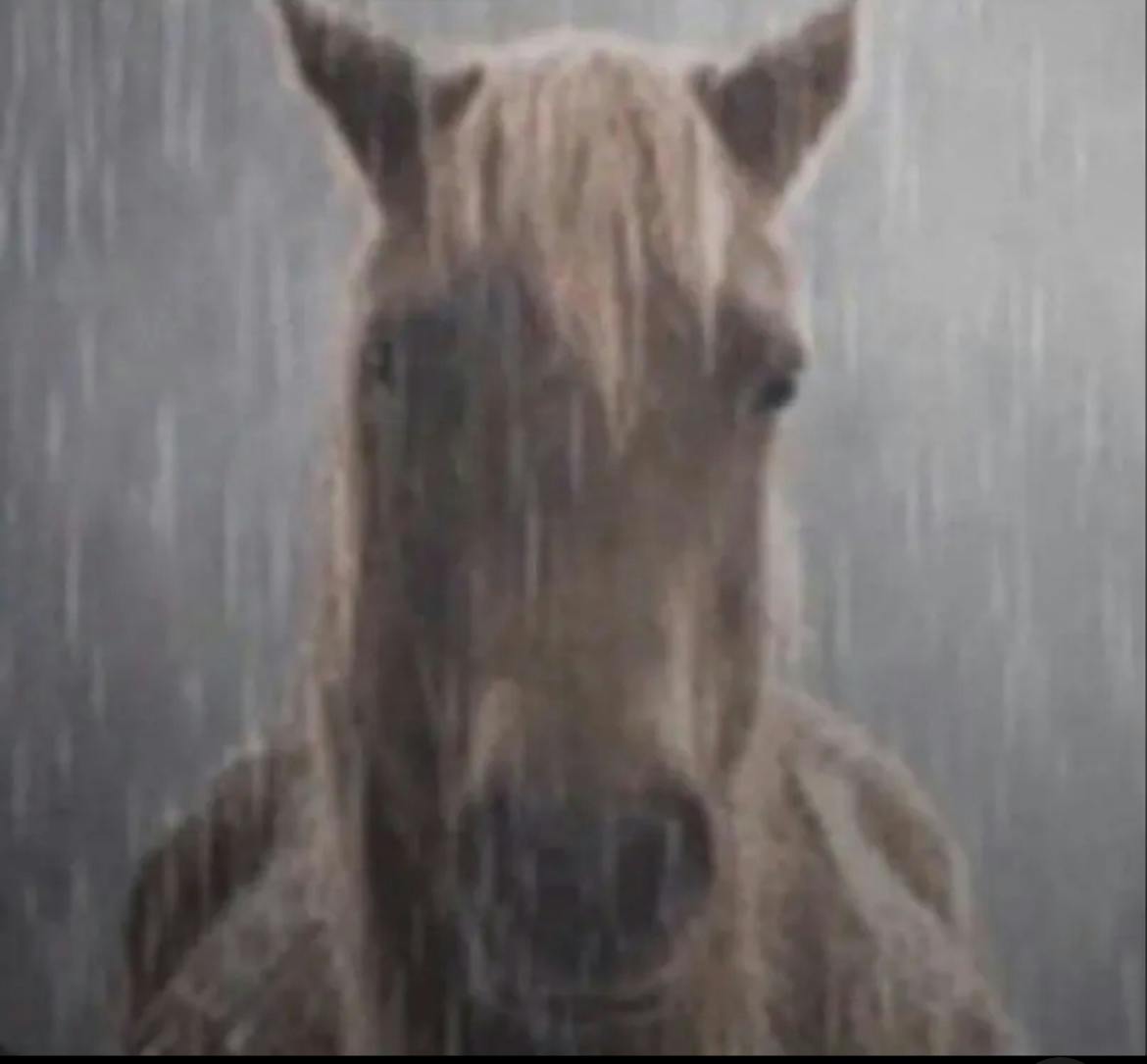 user avatar image for Isaac_LFE