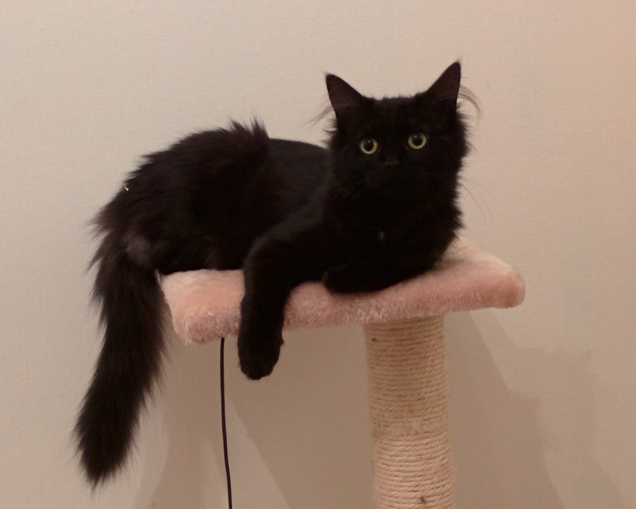 user avatar image for Toby Wood