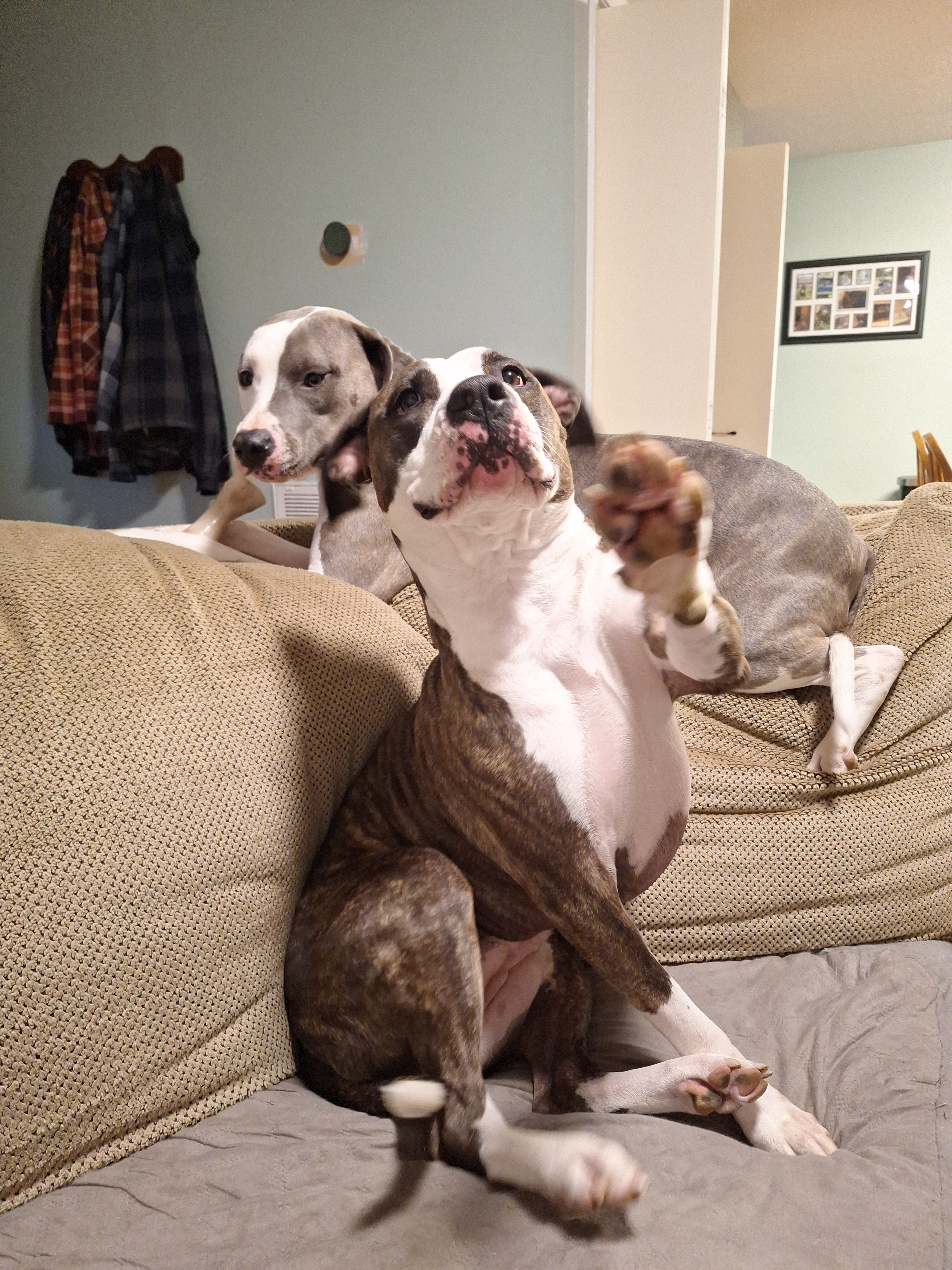 user avatar image for Patrick