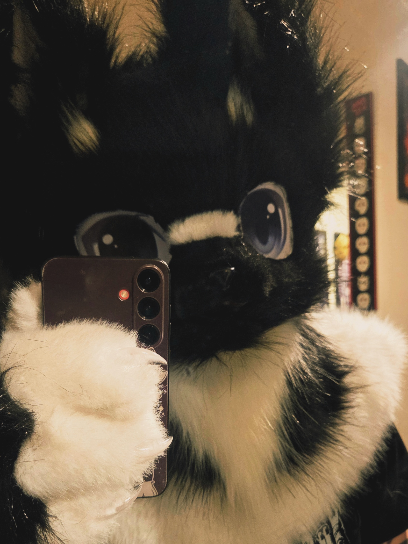 user avatar image for JayyJayy