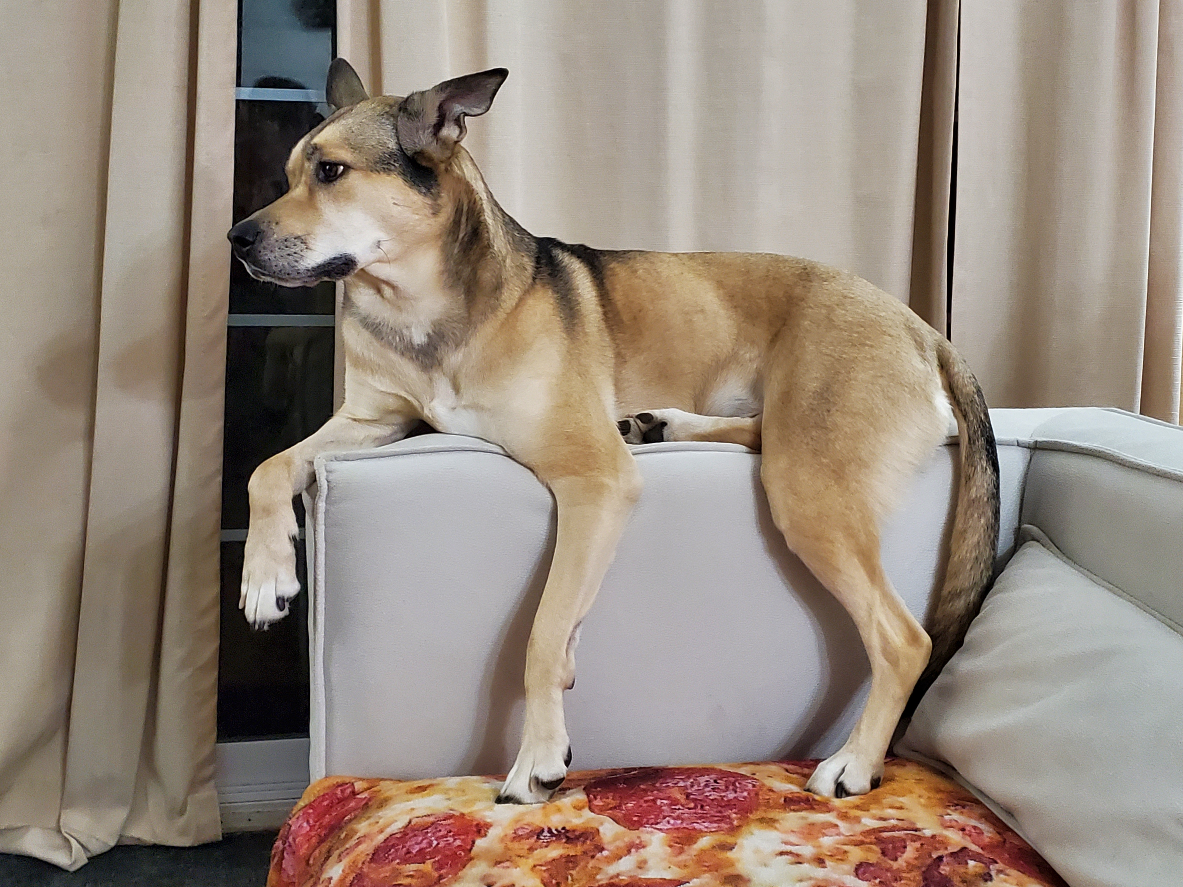 user avatar image for OGReilly