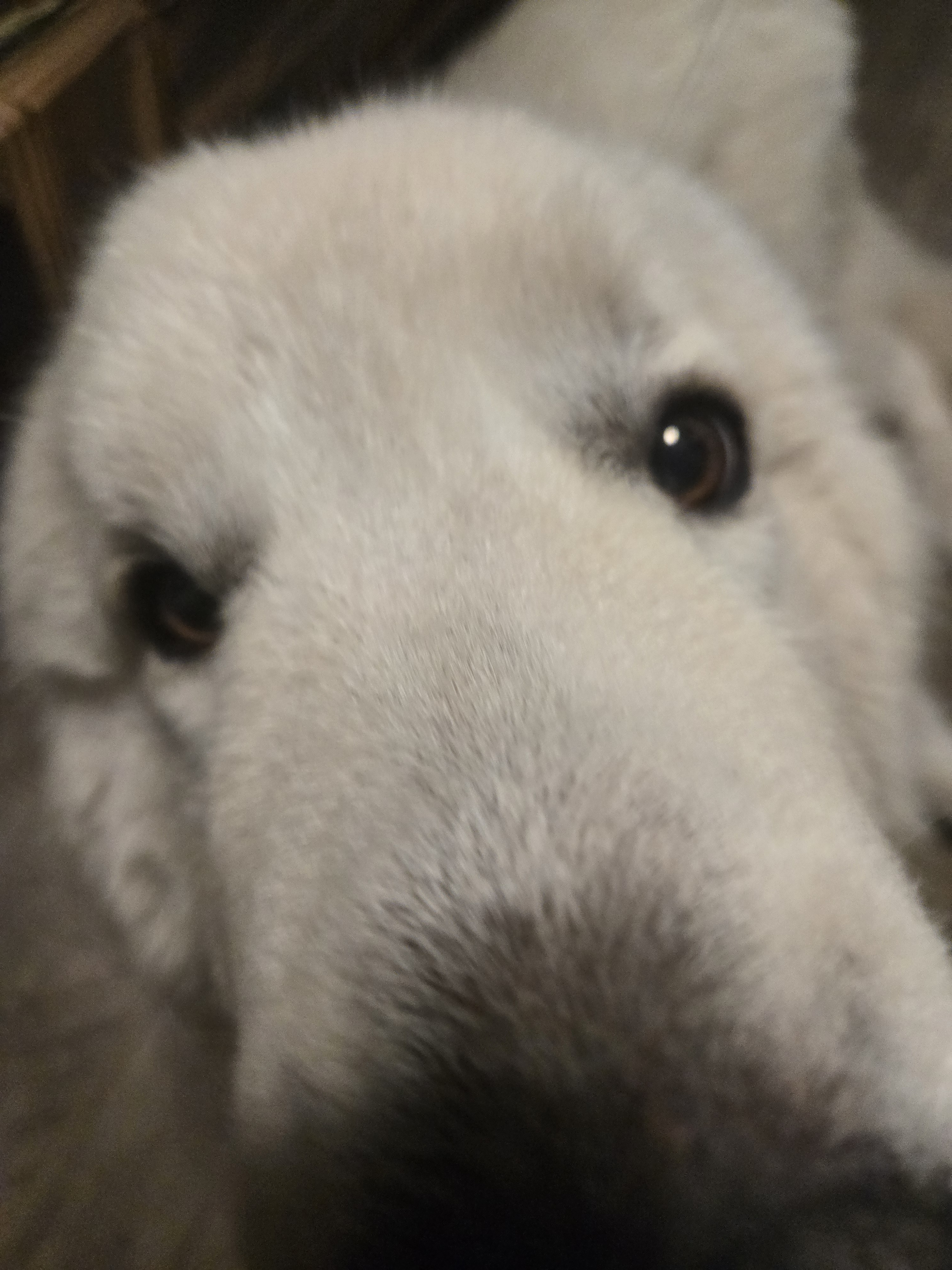 user avatar image for Molly