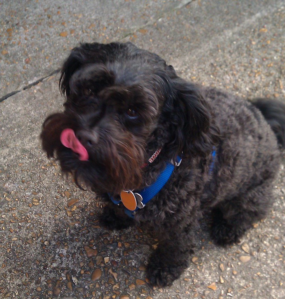 user avatar image for bt2