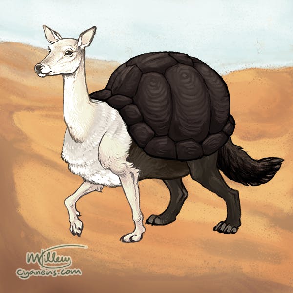 user avatar image for hedgehog