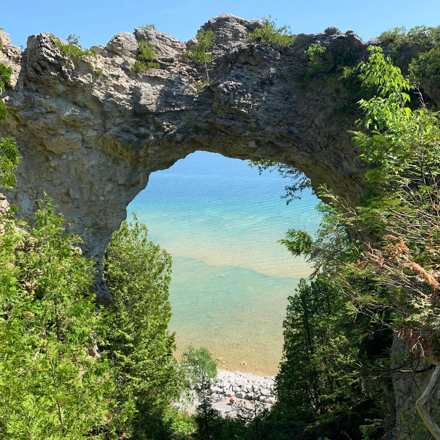 user avatar image for JCS