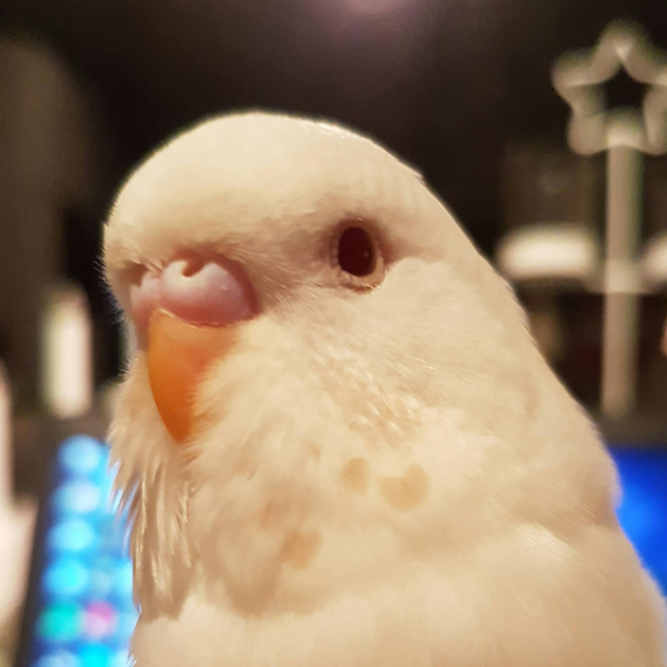 user avatar image for TamedSlime